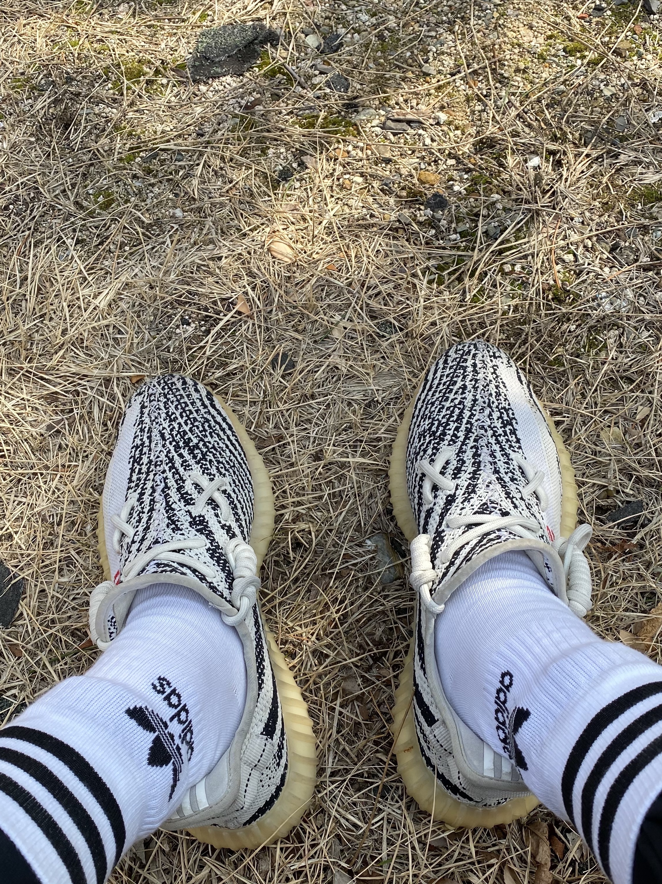 Adidas Yeezy Boost 350 V2 Zebra 2017/2019/2020 착용 스타일