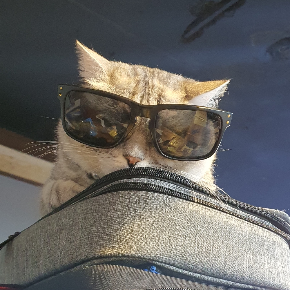 관심 유저 프로필 이미지