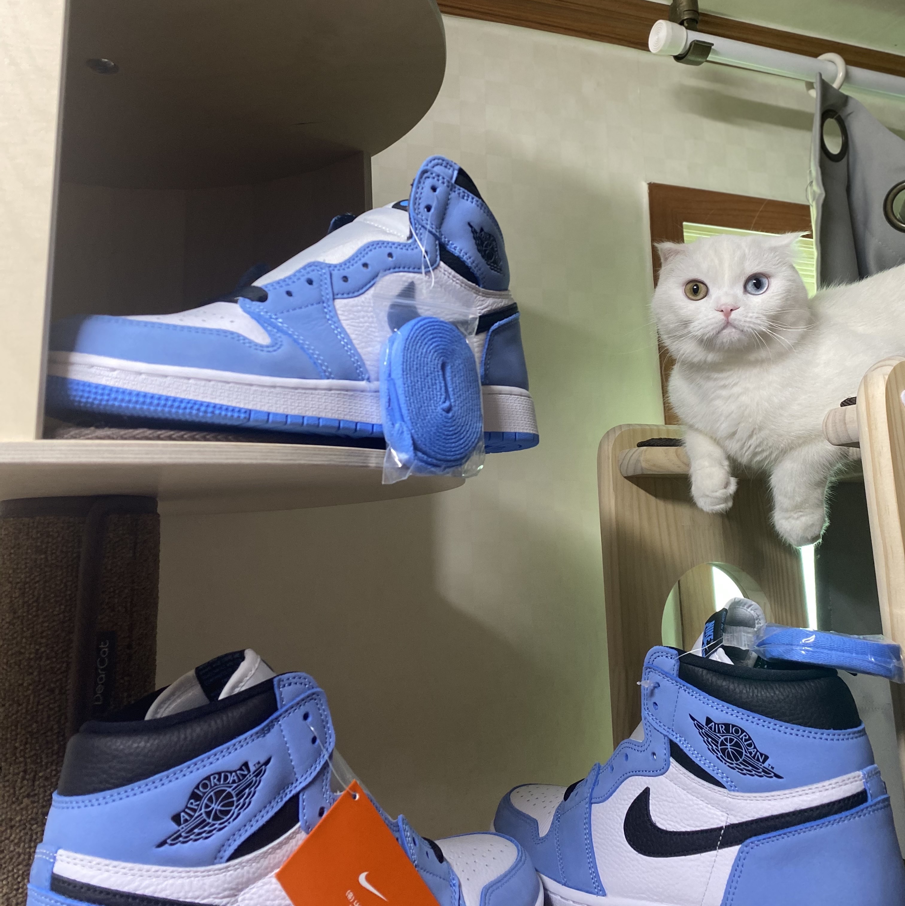 Jordan 1 Retro High OG University Blue, (GS) Jordan 1 Retro High OG University Blue 착용 스타일