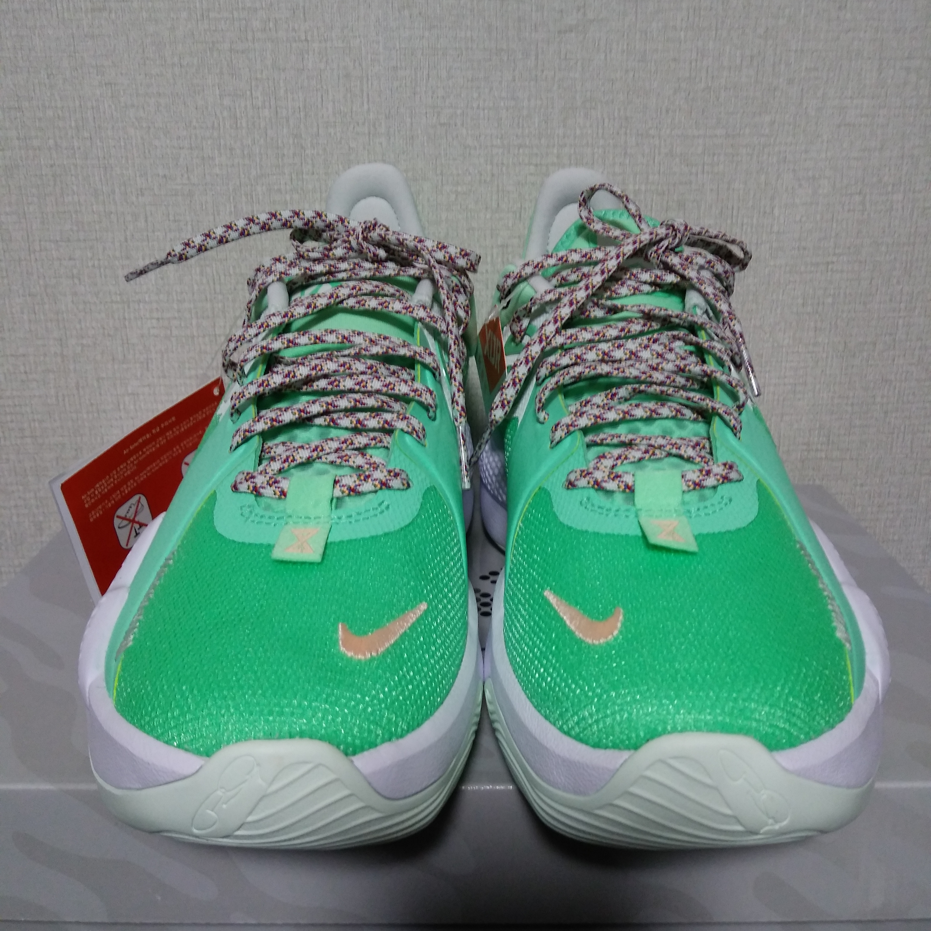 Nike PG 5 EP Play for The Future 착용 스타일 - 3