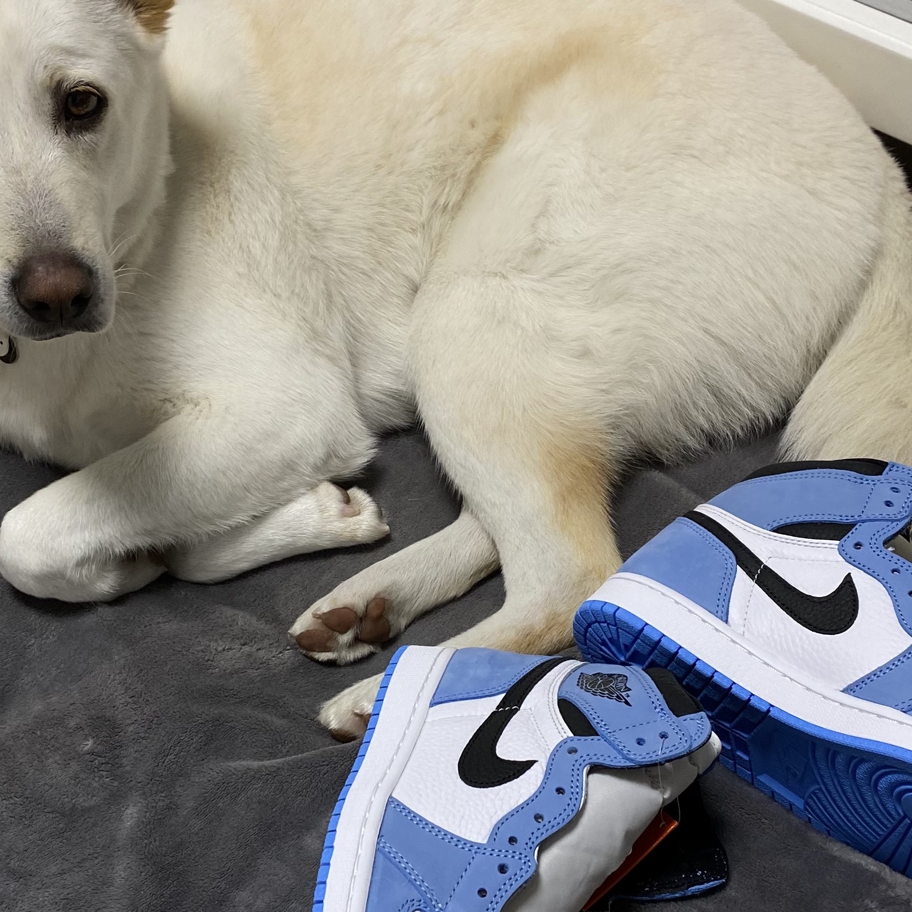 Jordan 1 Retro High OG University Blue 착용 스타일 - 2
