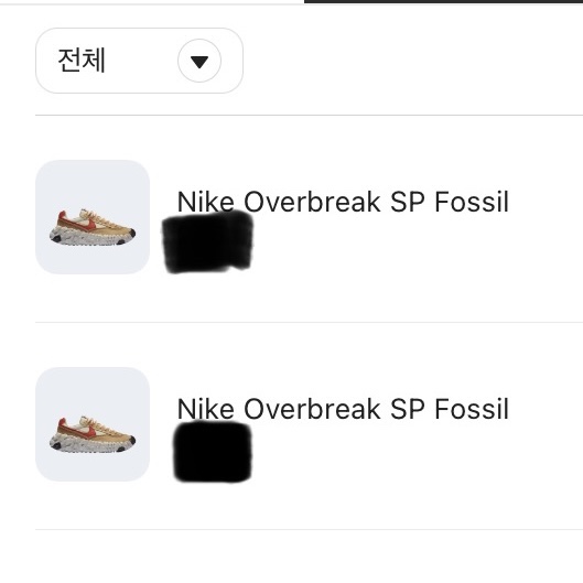 Nike Overbreak SP Fossil 착용 스타일
