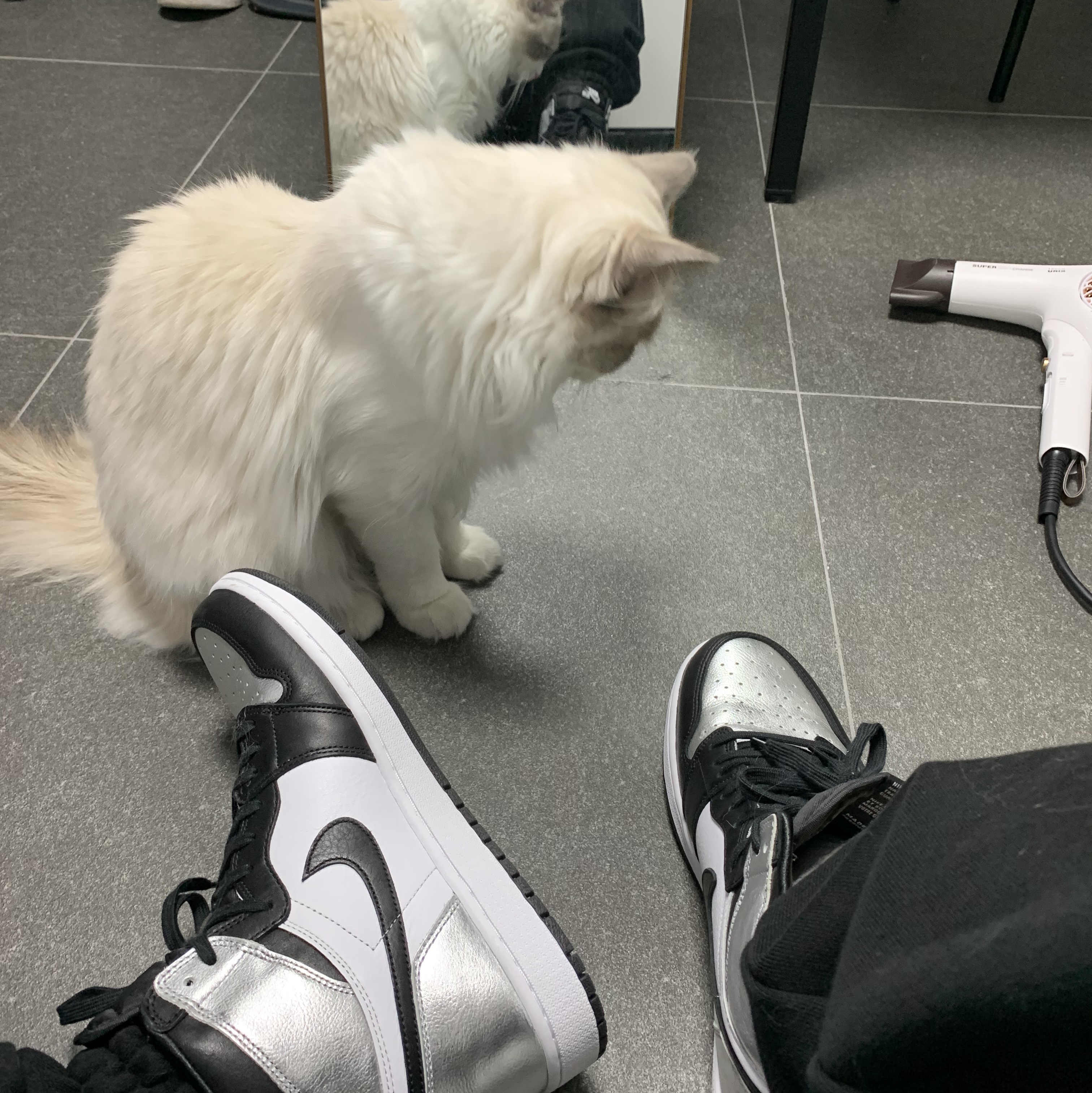 (W) Jordan 1 Retro High OG Silver Toe 착용 스타일 - 2