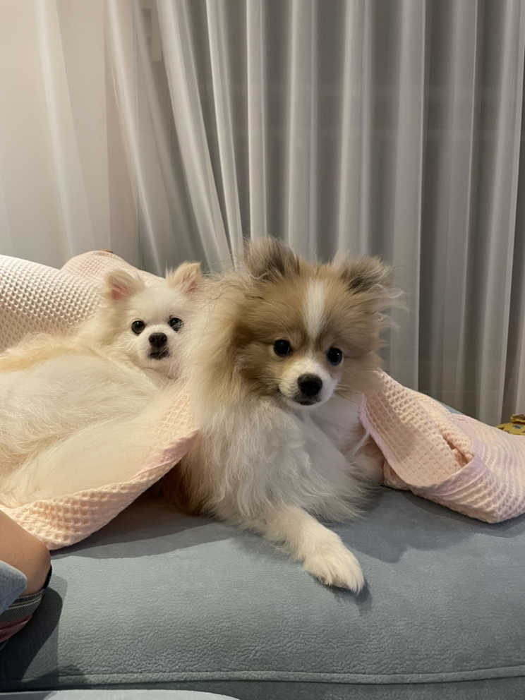 관심 유저 프로필 이미지