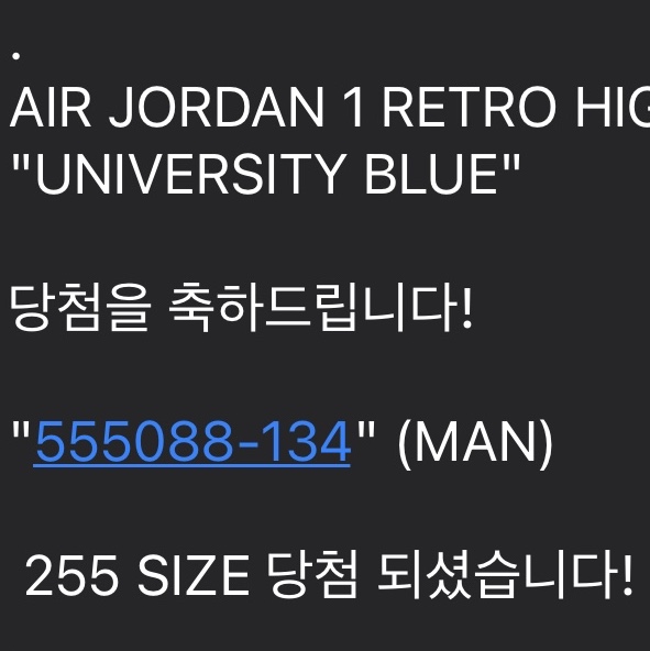 Jordan 1 Retro High OG University Blue 착용 스타일 - 2