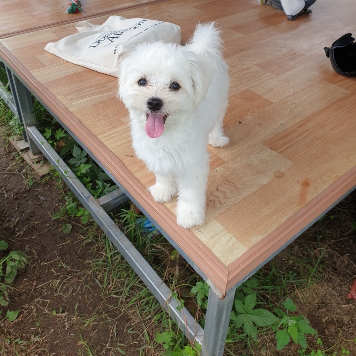 정태영님의 스타일 - 3