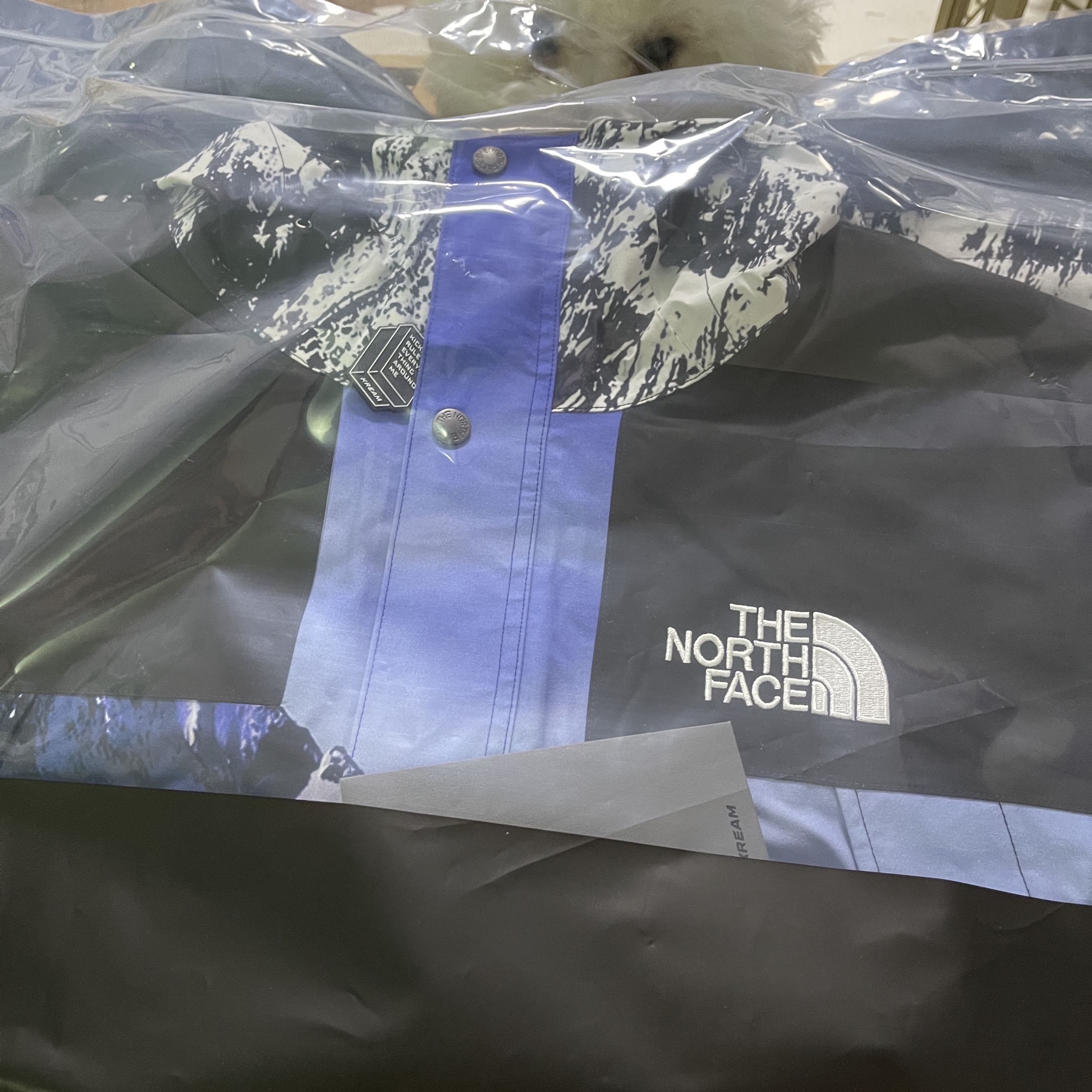 Supreme x The North Face Mountain Parka Blue White - 17FW 착용 스타일