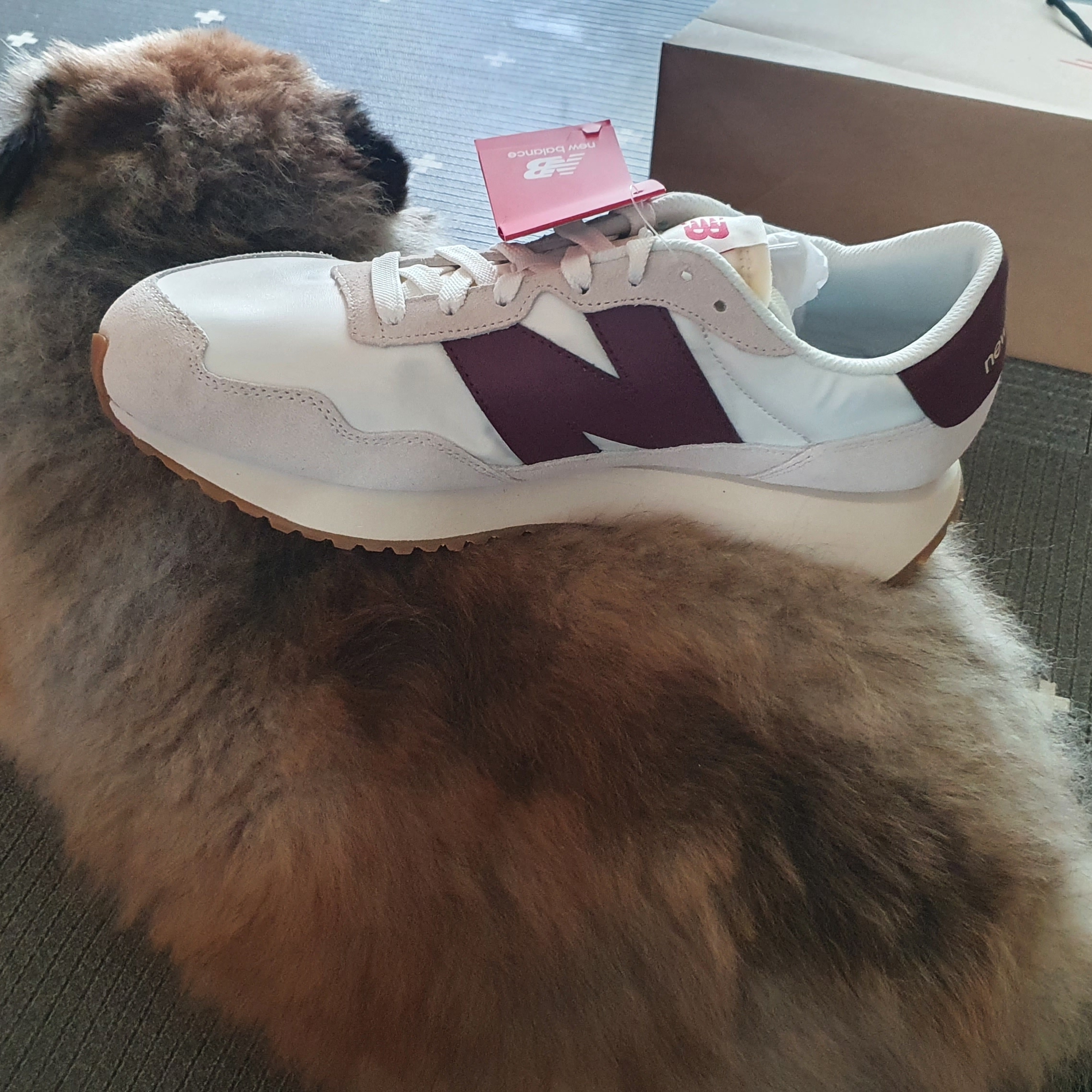 New Balance 237 Moonbeam Classic Burgundy 착용 스타일 - 1