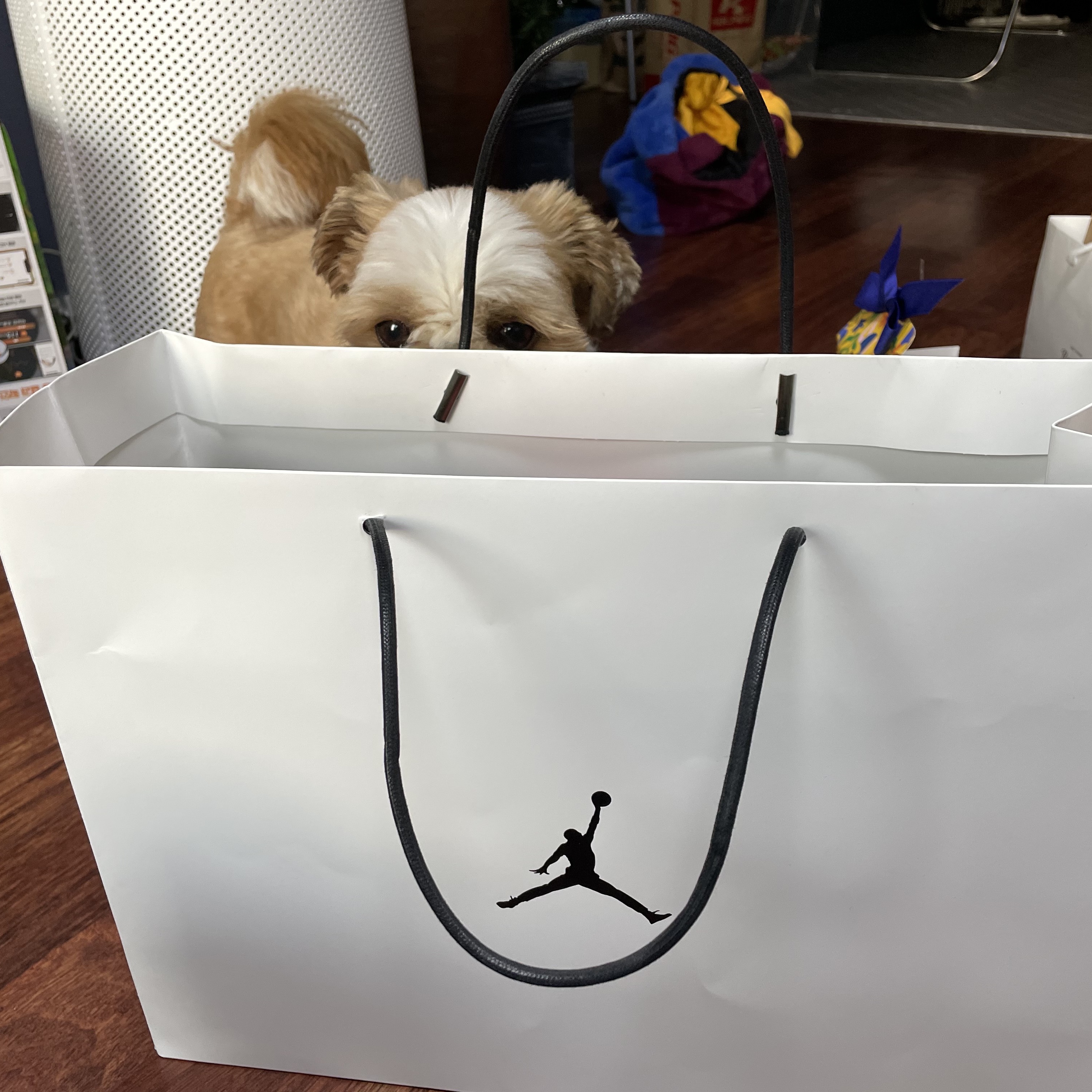 Jordan 1 Retro High OG University Blue 착용 스타일 - 1