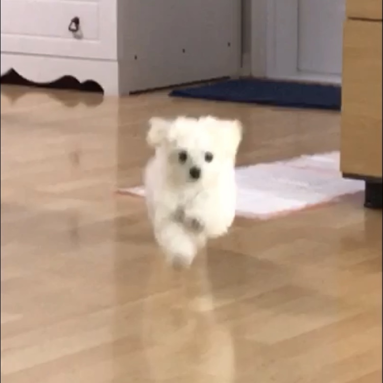 정태영님의 스타일 - 2