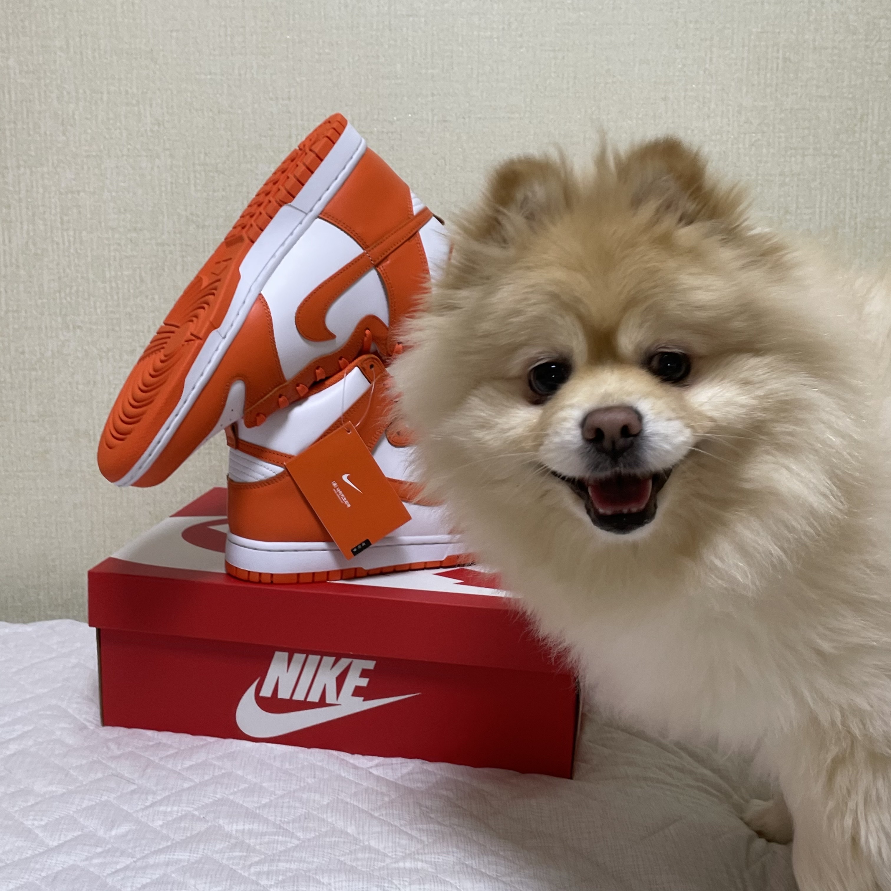 Nike Dunk High Retro Orange Blaze 착용 스타일 - 1