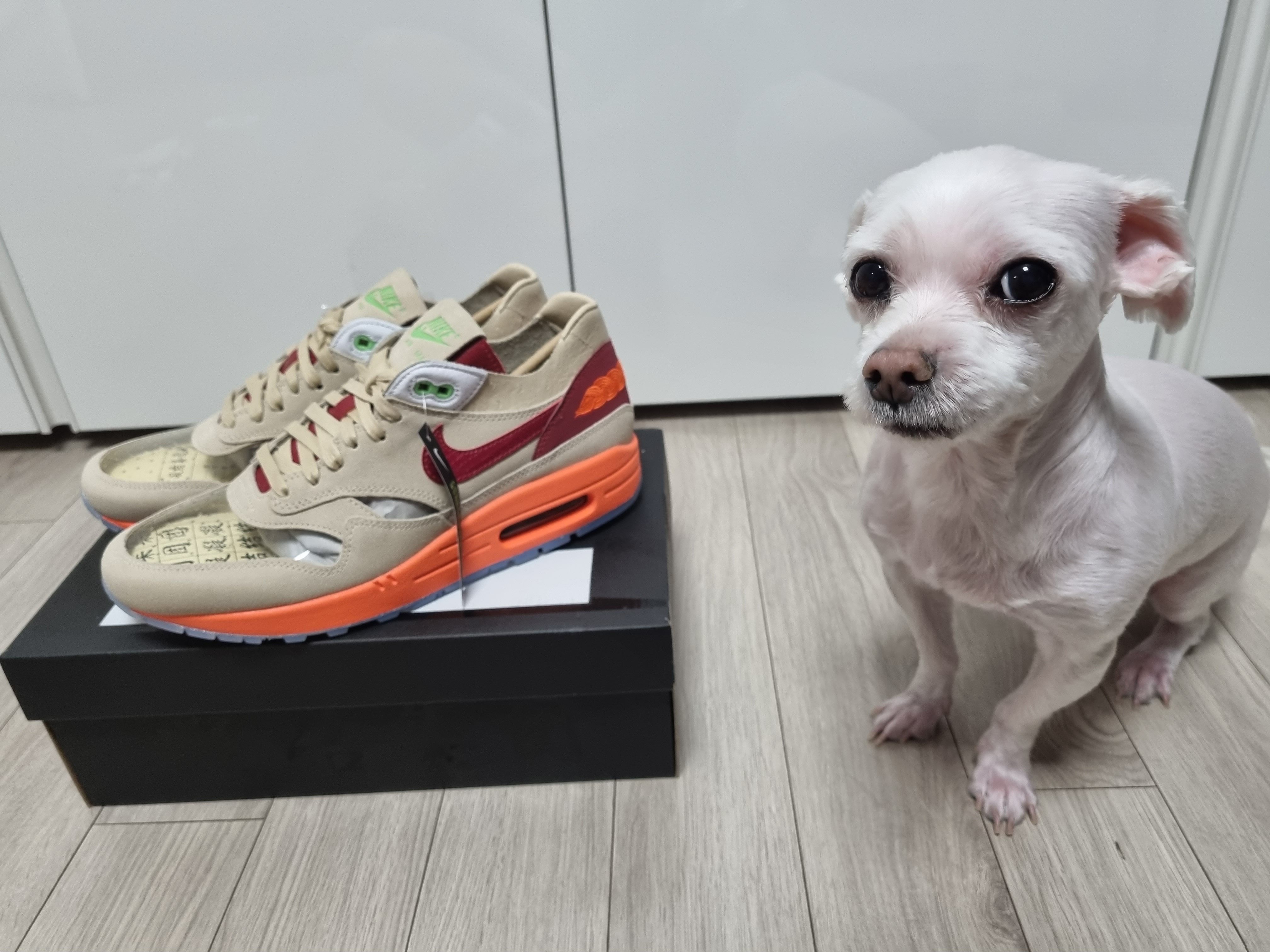Nike x Clot Air Max 1 Net 착용 스타일