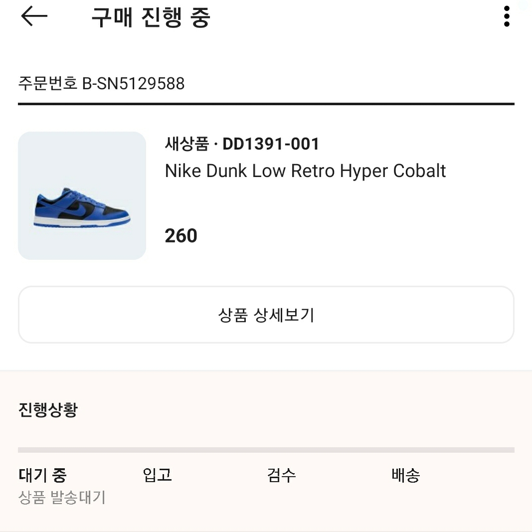 Nike Dunk Low Retro Hyper Cobalt 착용 스타일