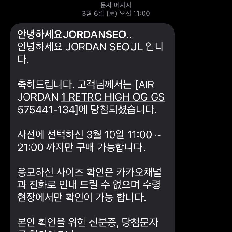 (GS) Jordan 1 Retro High OG University Blue 착용 스타일
