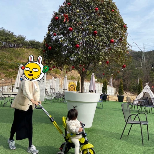 스타일 카드