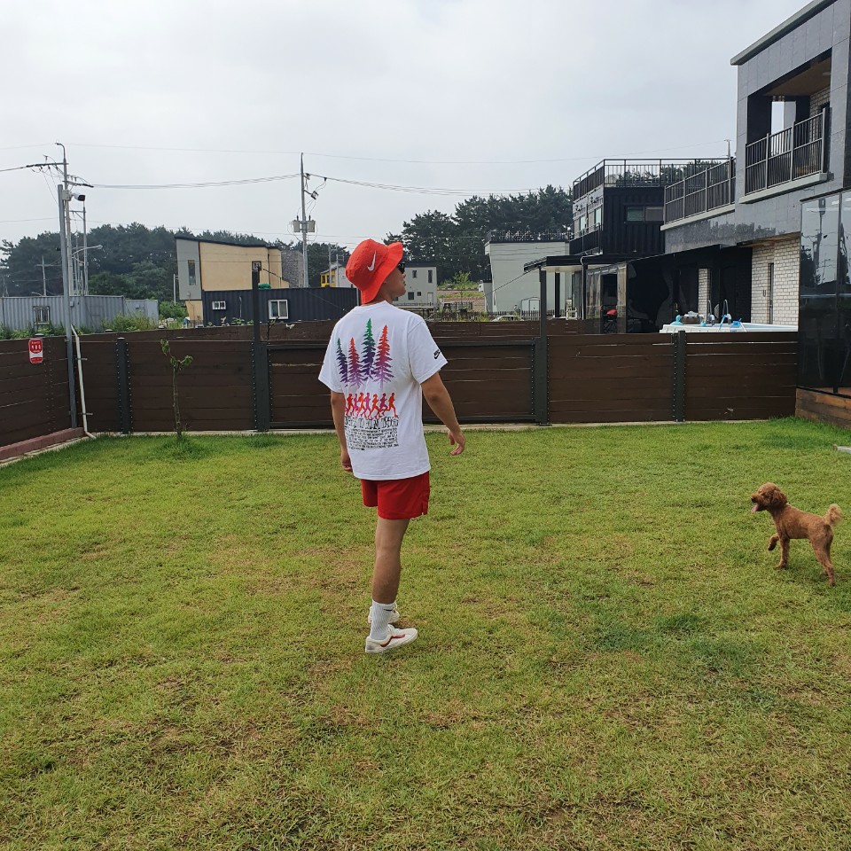 Vans Vault OG Style 36 LX Red, Nike x Stussy Douglas Firs to Palm Trees T-Shirt - US/EU 착용 스타일