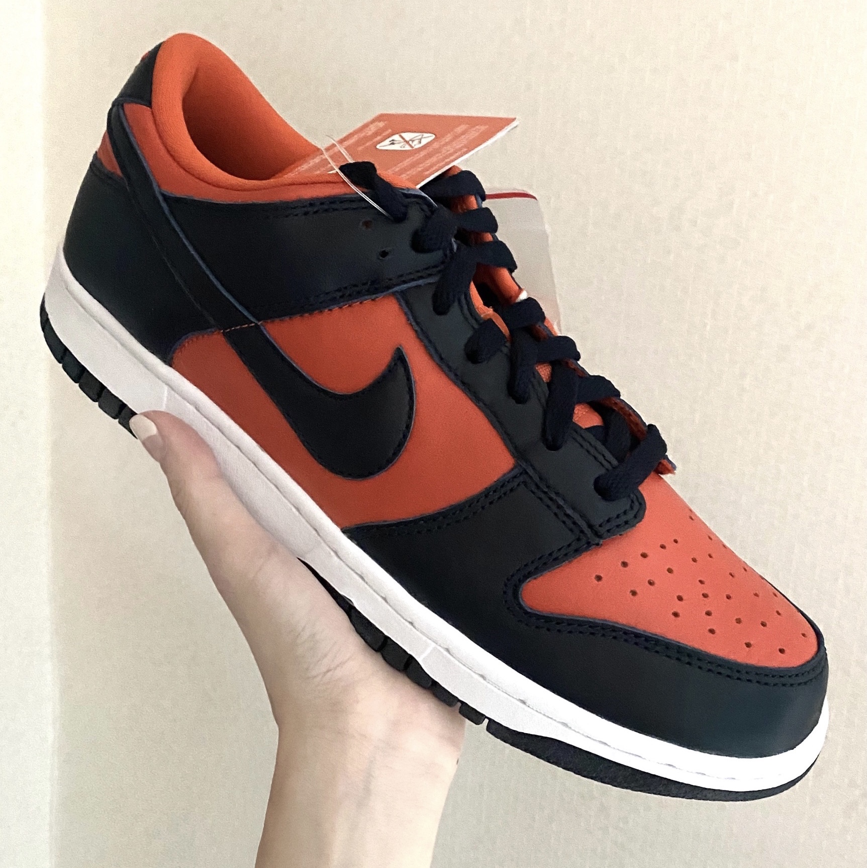 Nike Dunk Low SP Champ Colors 착용 스타일