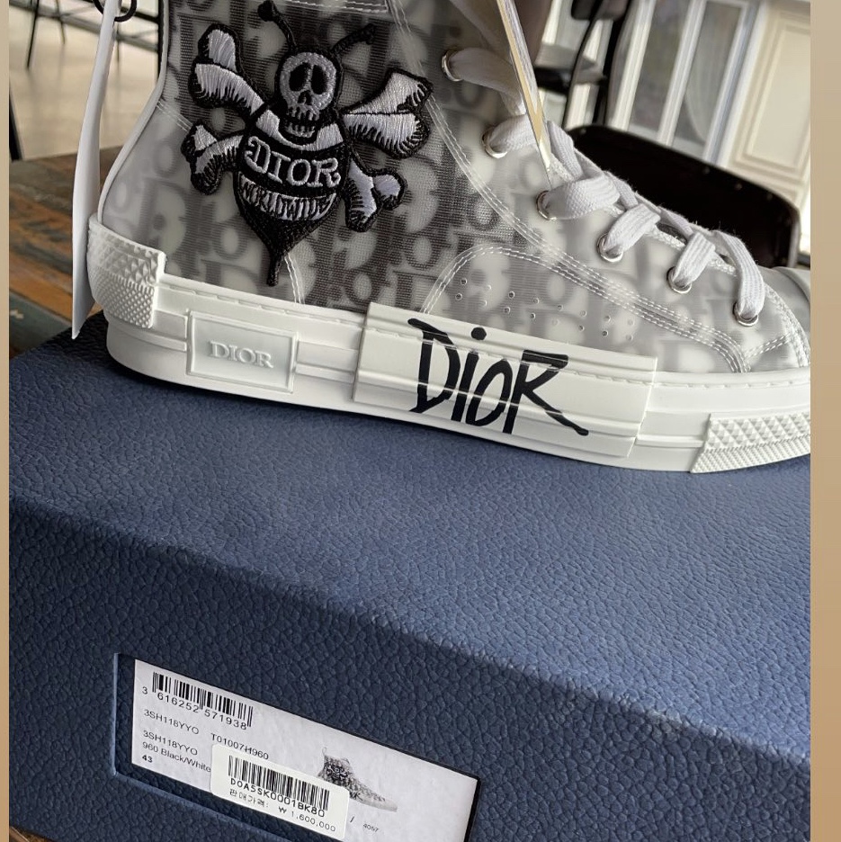 Dior x Shawn B23 High Dior Oblique Canvas Bee Embroidery Patch 착용 스타일