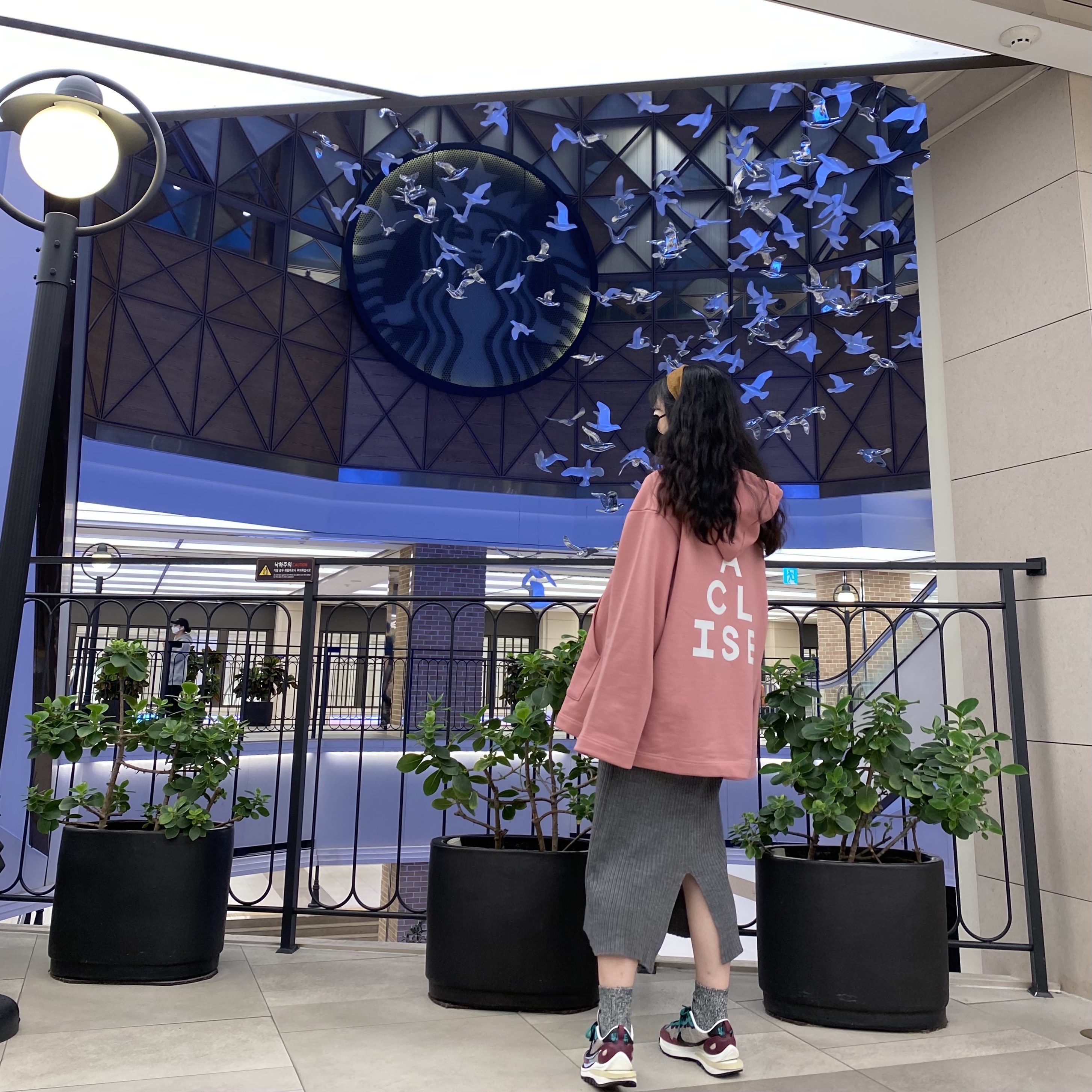 ์์
์ด๋ฏธ์ง