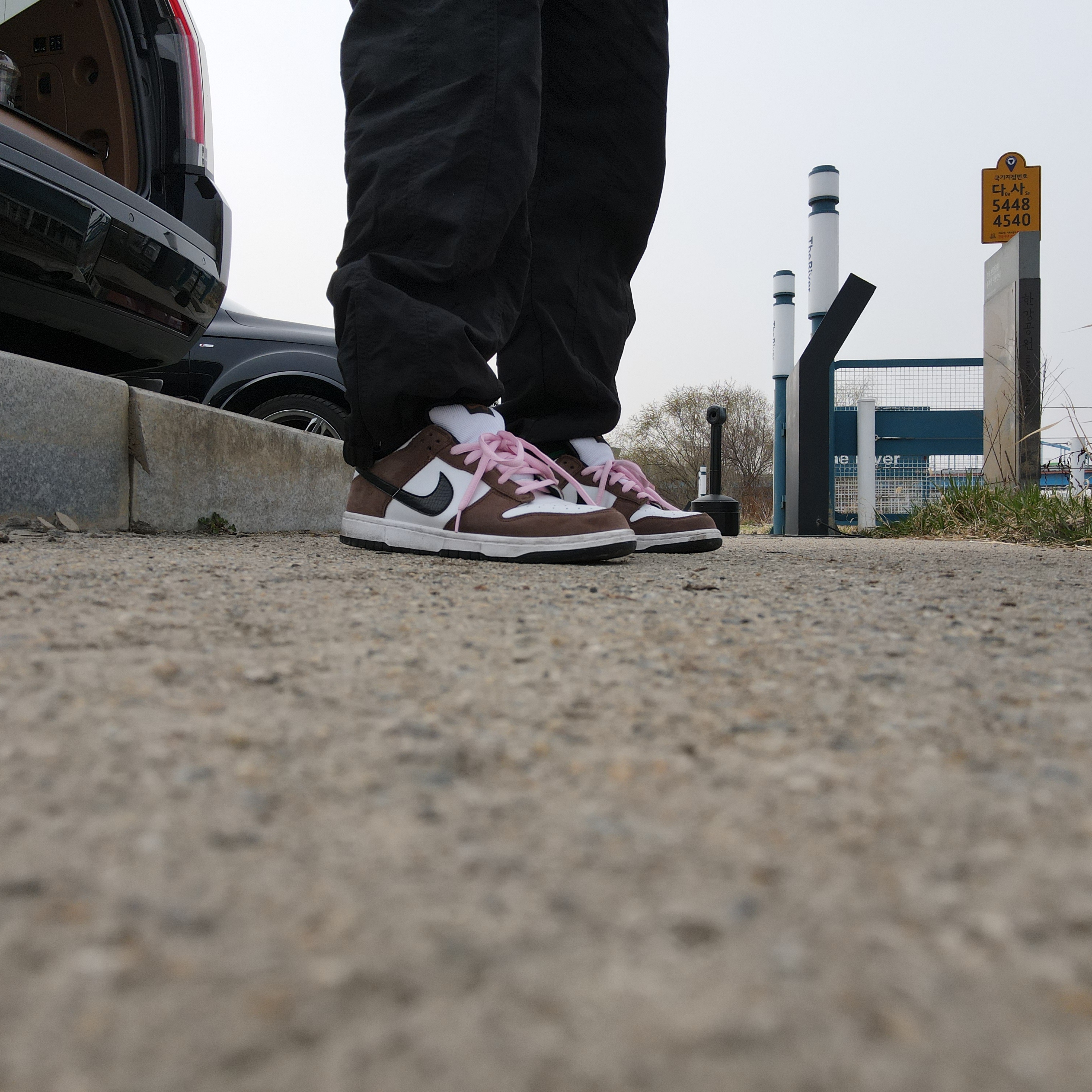 Nike Dunk Low Pro SB Trail 착용 스타일 - 5