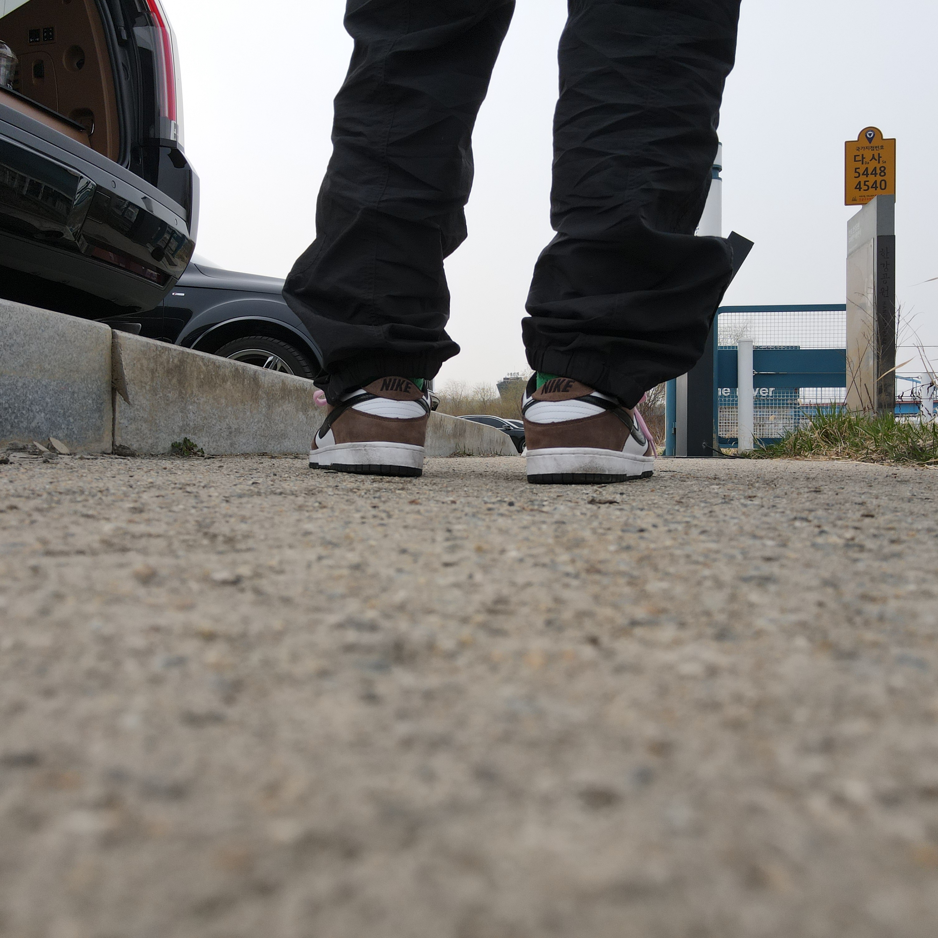 Nike Dunk Low Pro SB Trail 착용 스타일 - 4