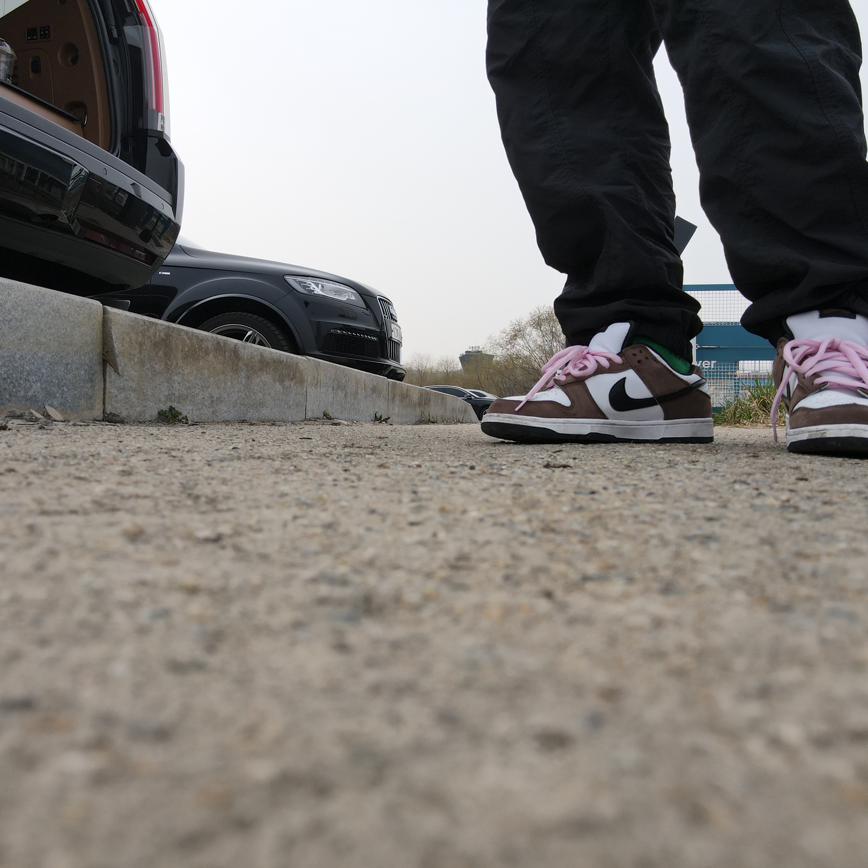 Nike Dunk Low Pro SB Trail 착용 스타일 - 1