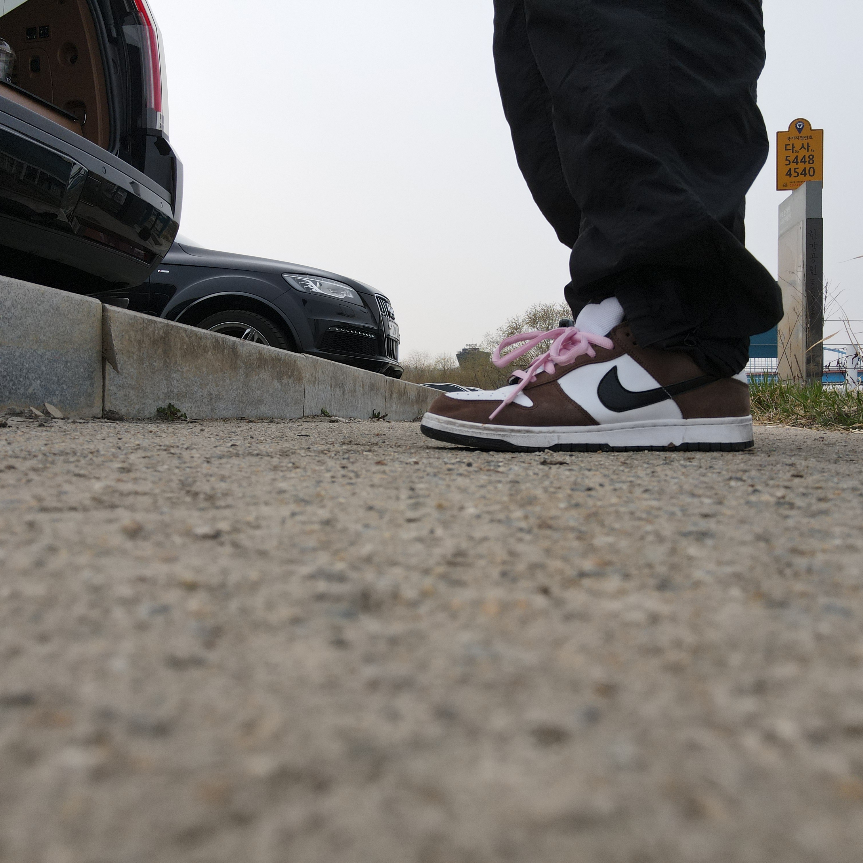 Nike Dunk Low Pro SB Trail 착용 스타일 - 2