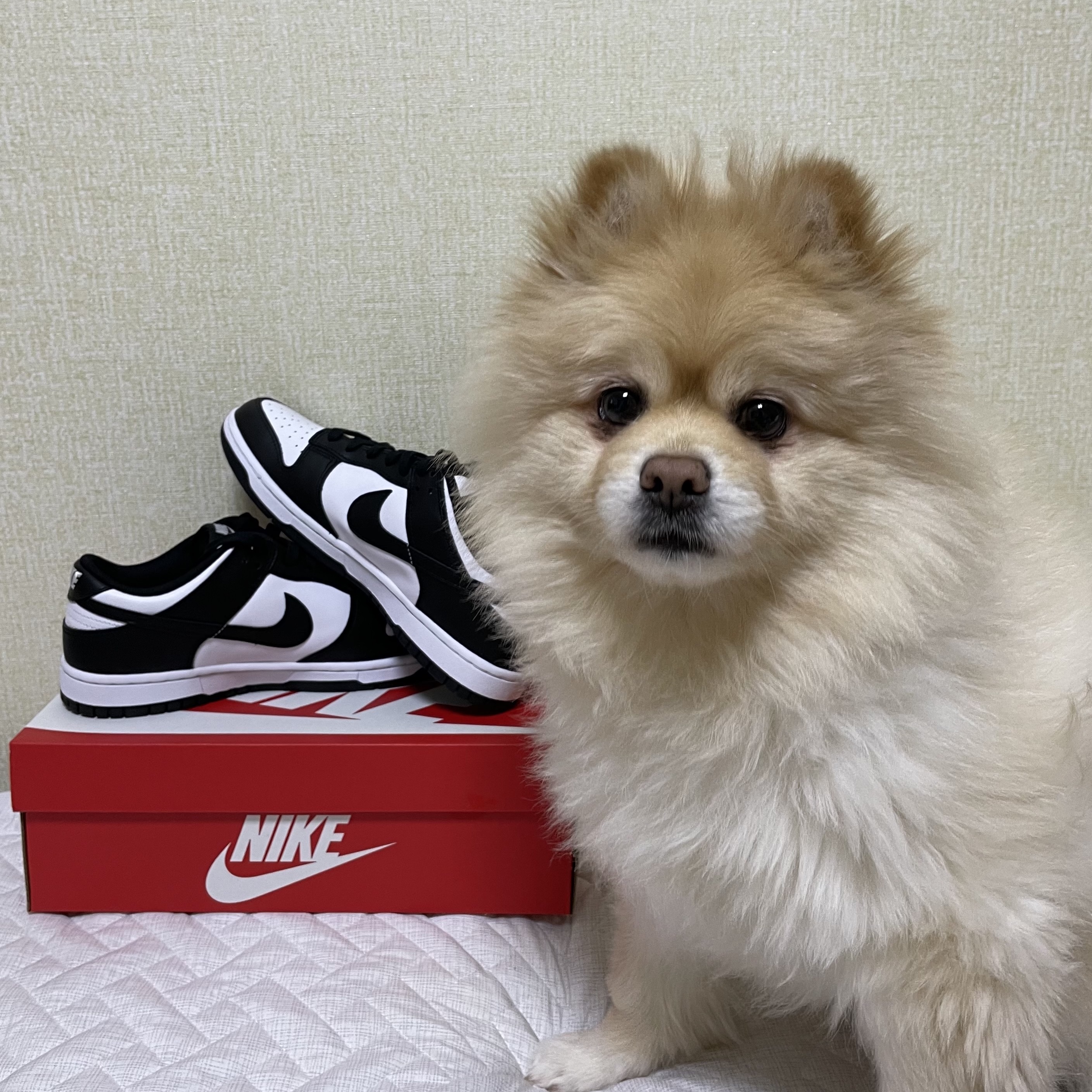 Nike Dunk Low Retro Black 착용 스타일 - 2