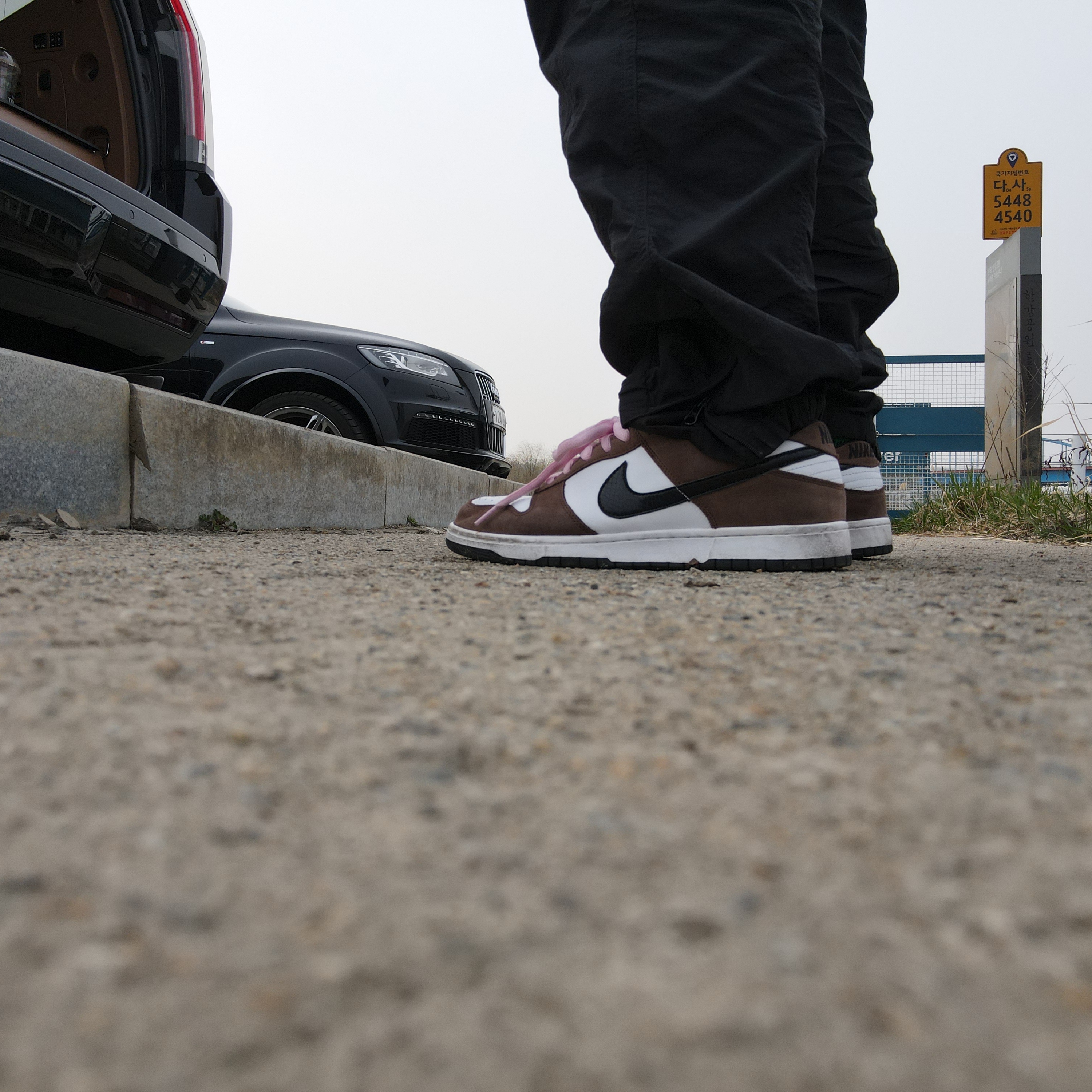 Nike Dunk Low Pro SB Trail 착용 스타일 - 3