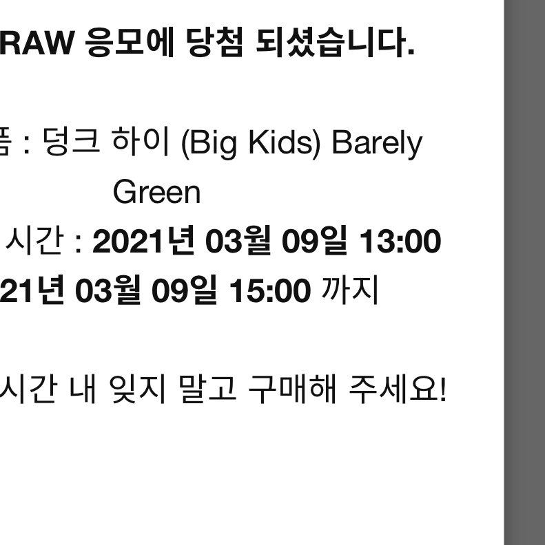 (GS) Nike Dunk High Barely Green 착용 스타일 - 2