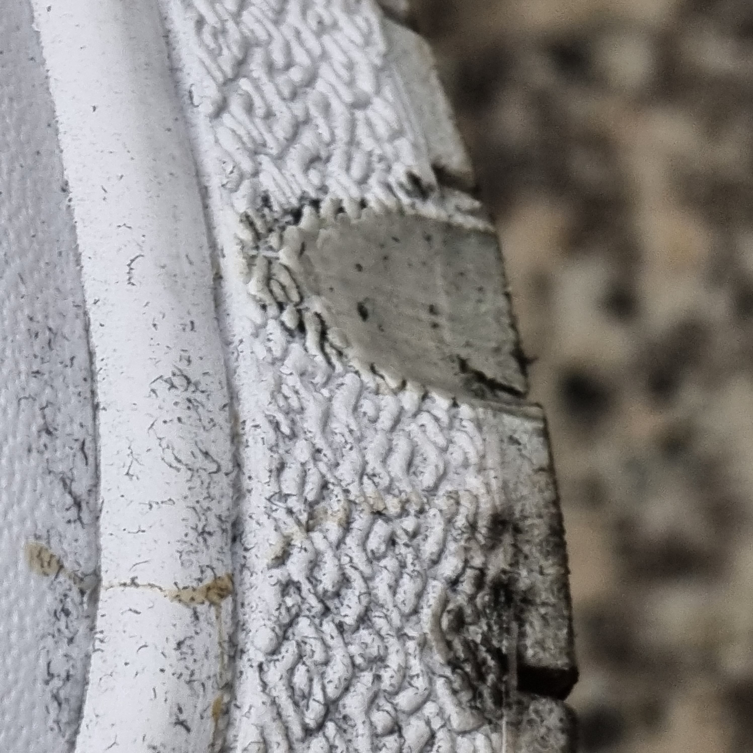 Jordan 1 High 85 Neutral Grey 착용 스타일 - 2