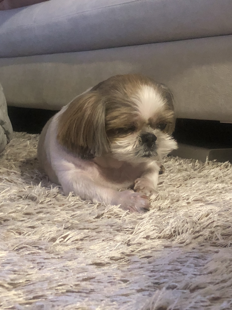 관심 유저 프로필 이미지