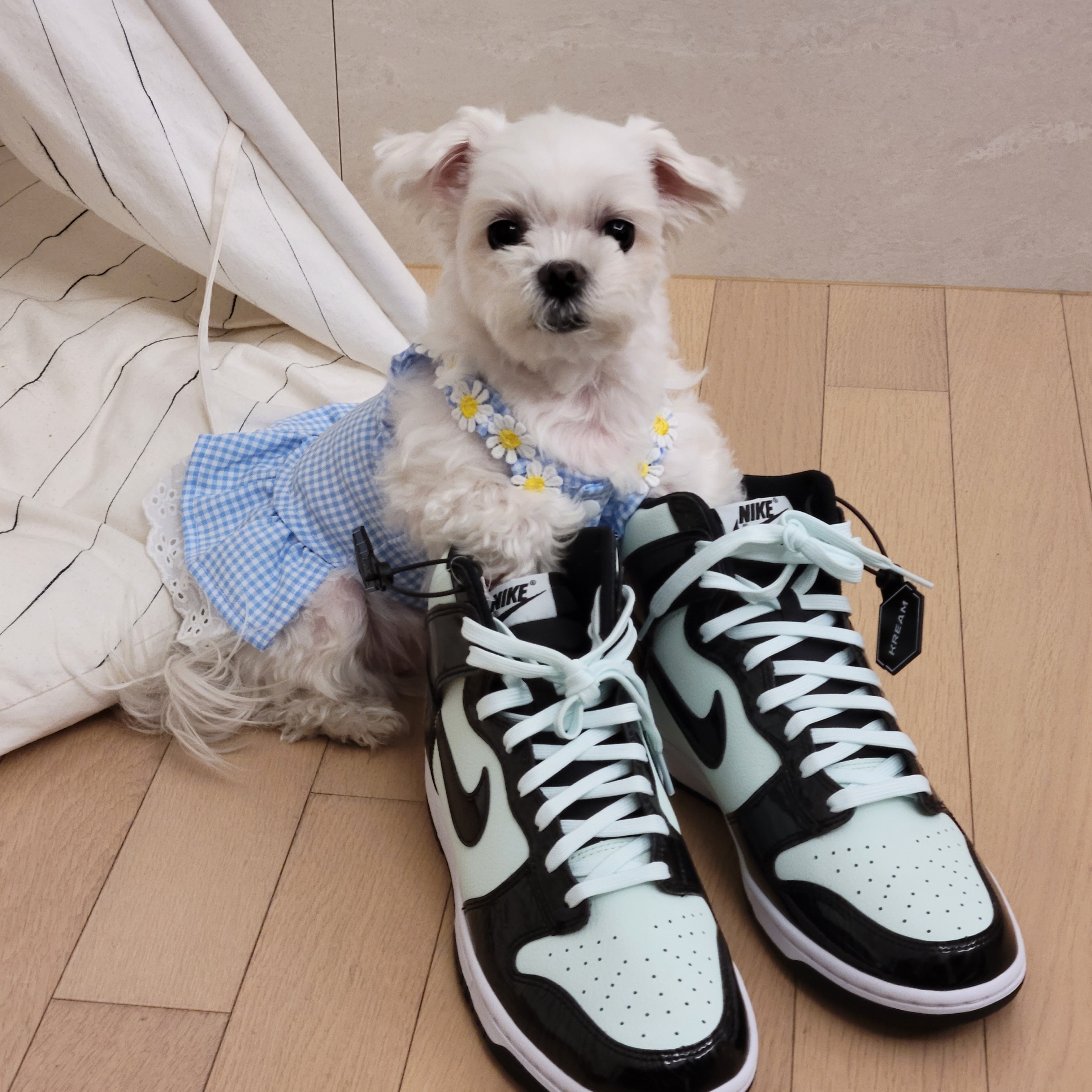 Nike Dunk High Barely Green 착용 스타일 - 2