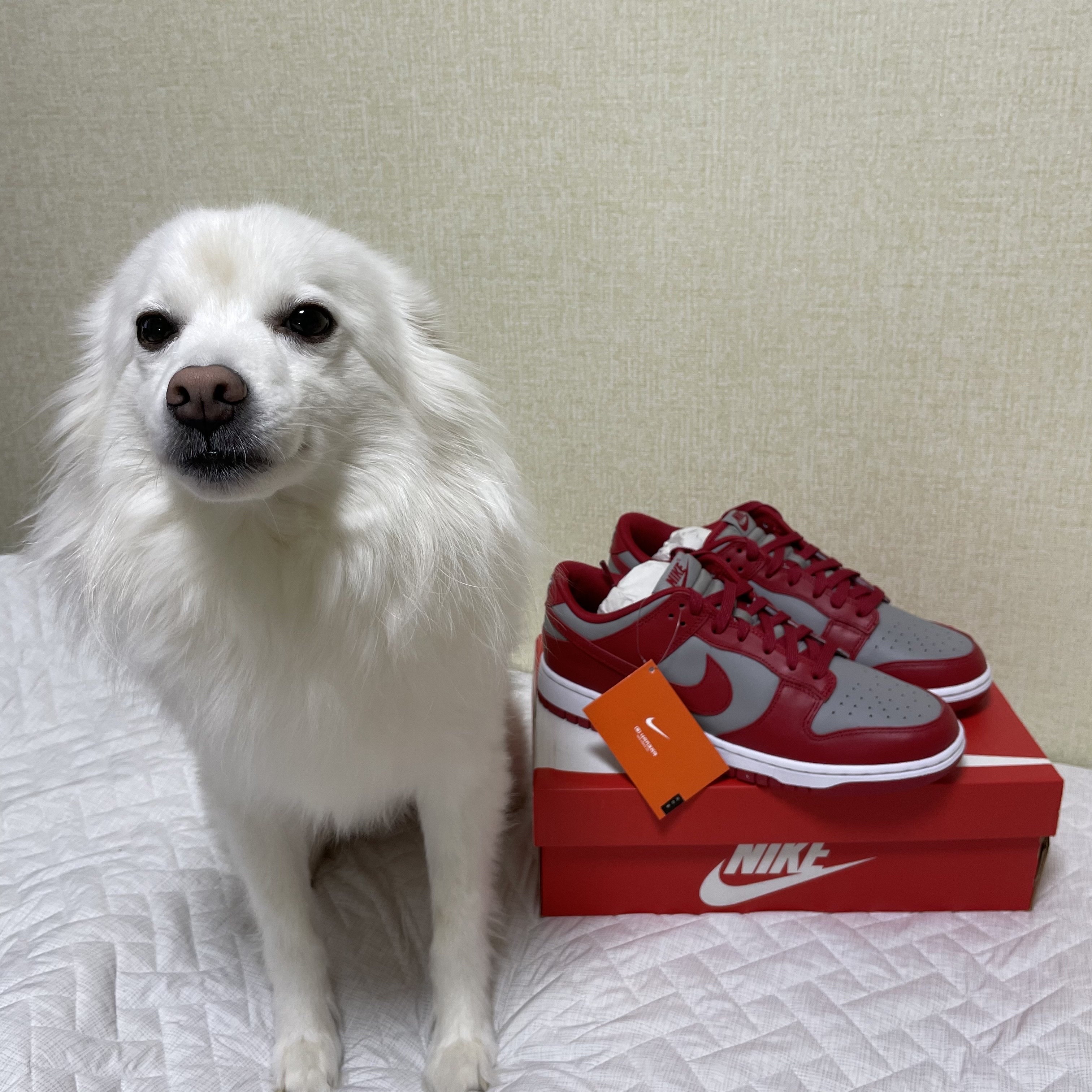 Nike Dunk Low Retro Medium Grey 착용 스타일 - 2