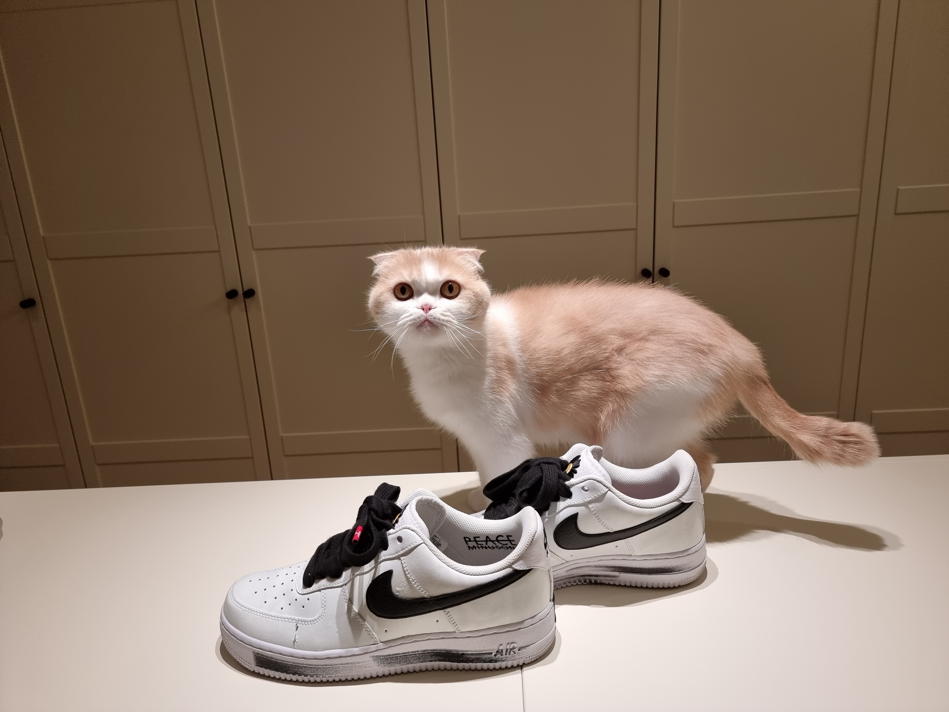 Nike x Peaceminusone Air Force 1 Low Para-Noise 2.0 착용 스타일
