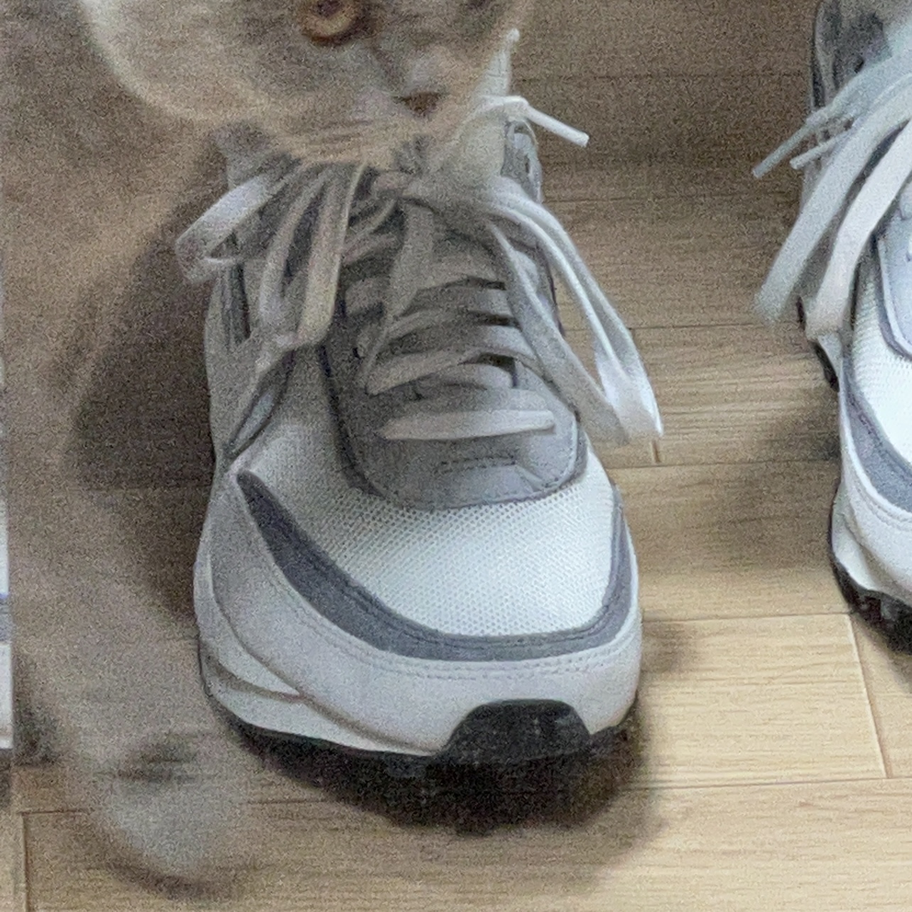 Nike x Sacai LDWaffle Summit White 착용 스타일 - 1