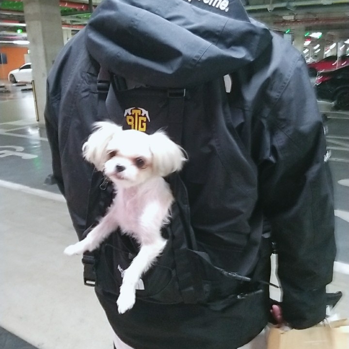 Supreme x The North Face RTG Jacket + Vest Black - 20SS 착용 스타일