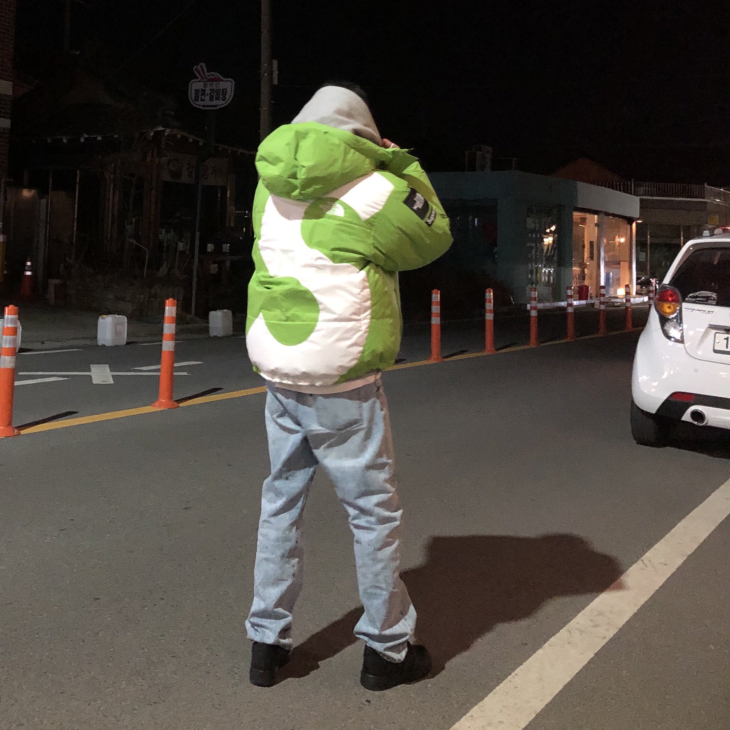 Supreme x The North Face S Logo Summit Series Himalayan Parka Lime - 20FW 착용 스타일