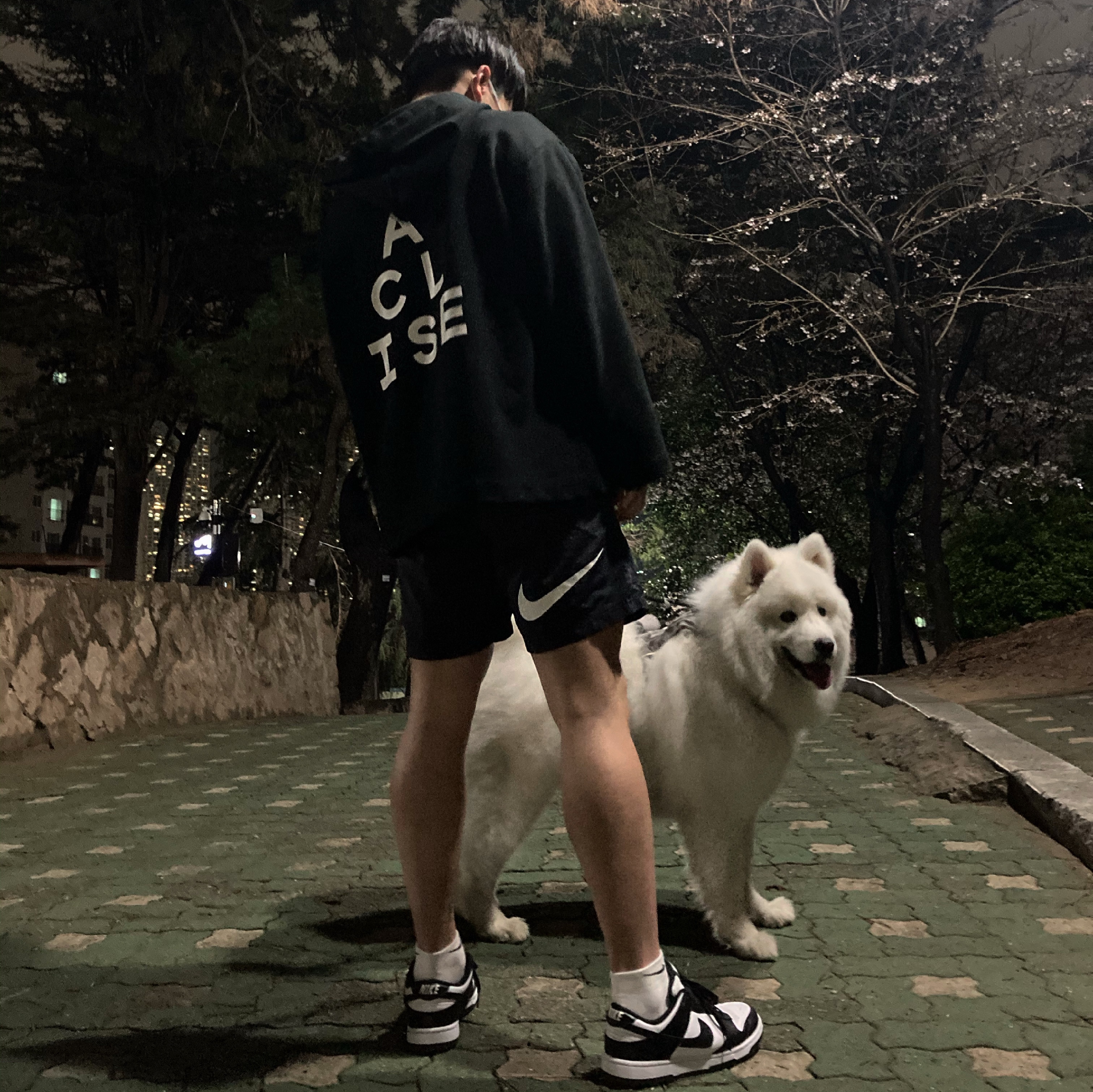 Nike Dunk Low Retro Black, Nike x Stussy Water Shorts Off Noir 착용 스타일