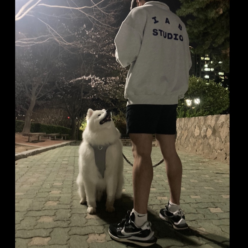 IAB Studio Half Zip Pullover Light Gray, Nike x Sacai VaporWaffle Black White 착용 스타일