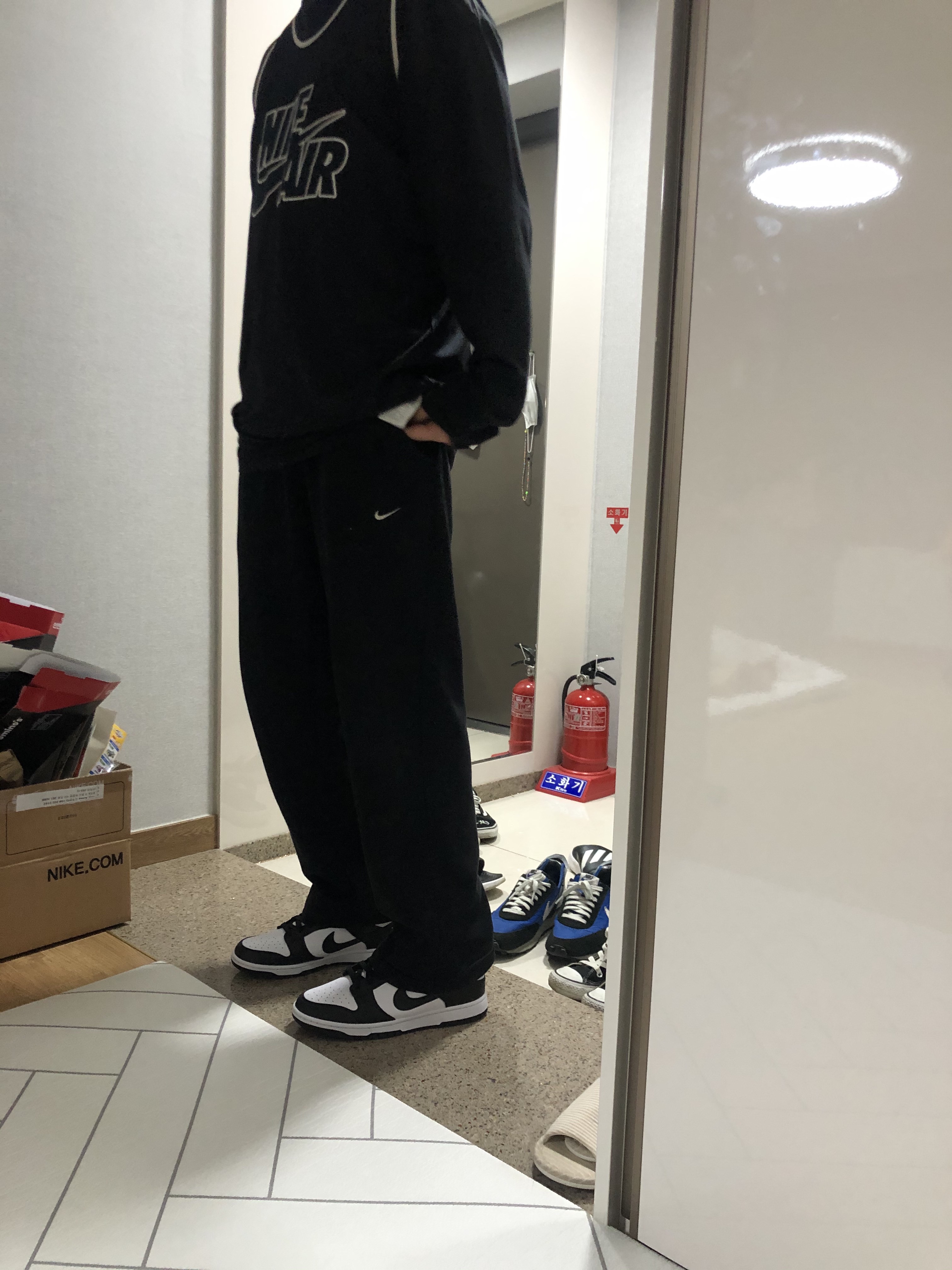 Nike Dunk Low Retro Black, Nike NRG Solo Swoosh Fleece Pants Black White - Asia 착용 스타일