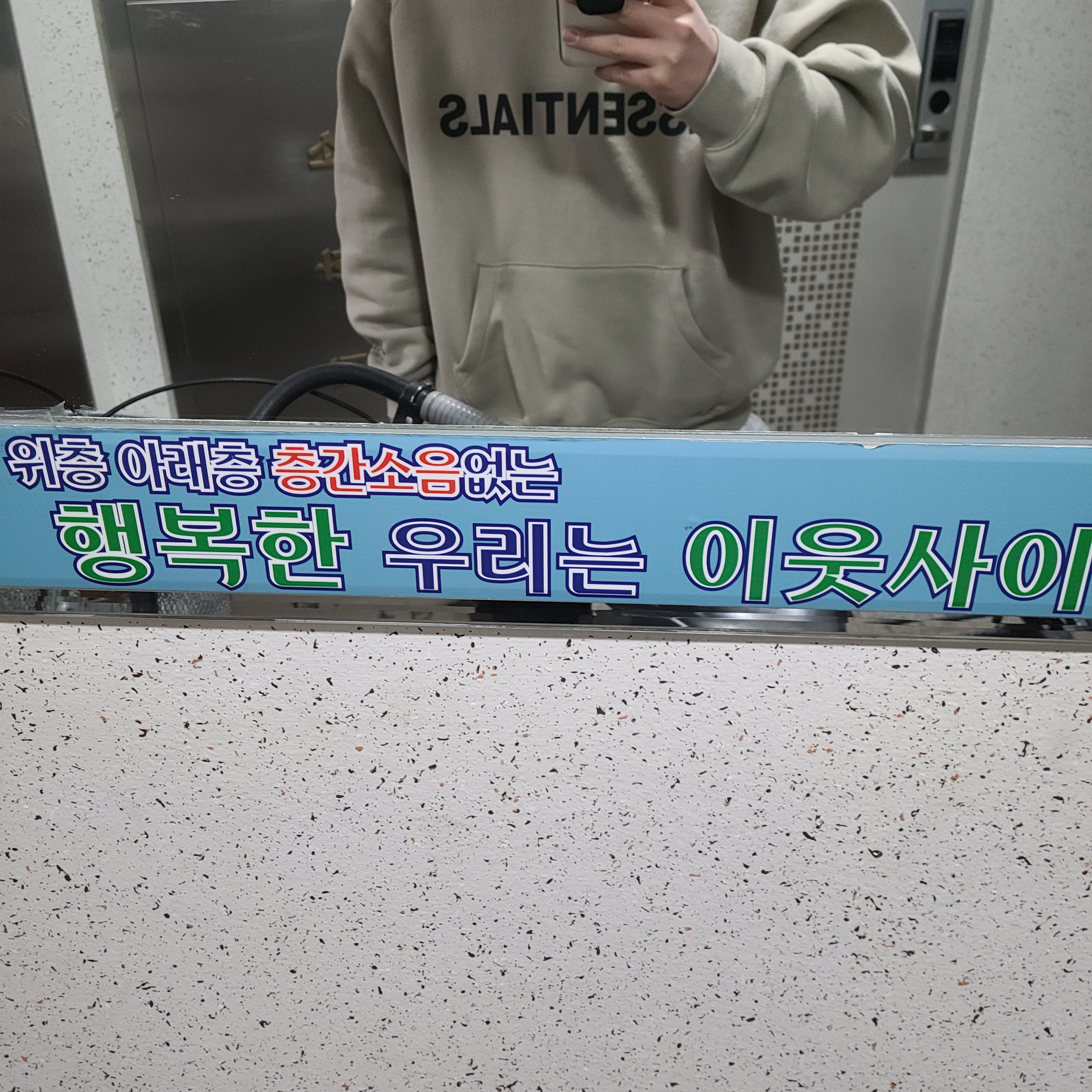 Essentials 3D Silicon Applique Pullover Hoodie Olive/Khaki - 20FW 착용 스타일