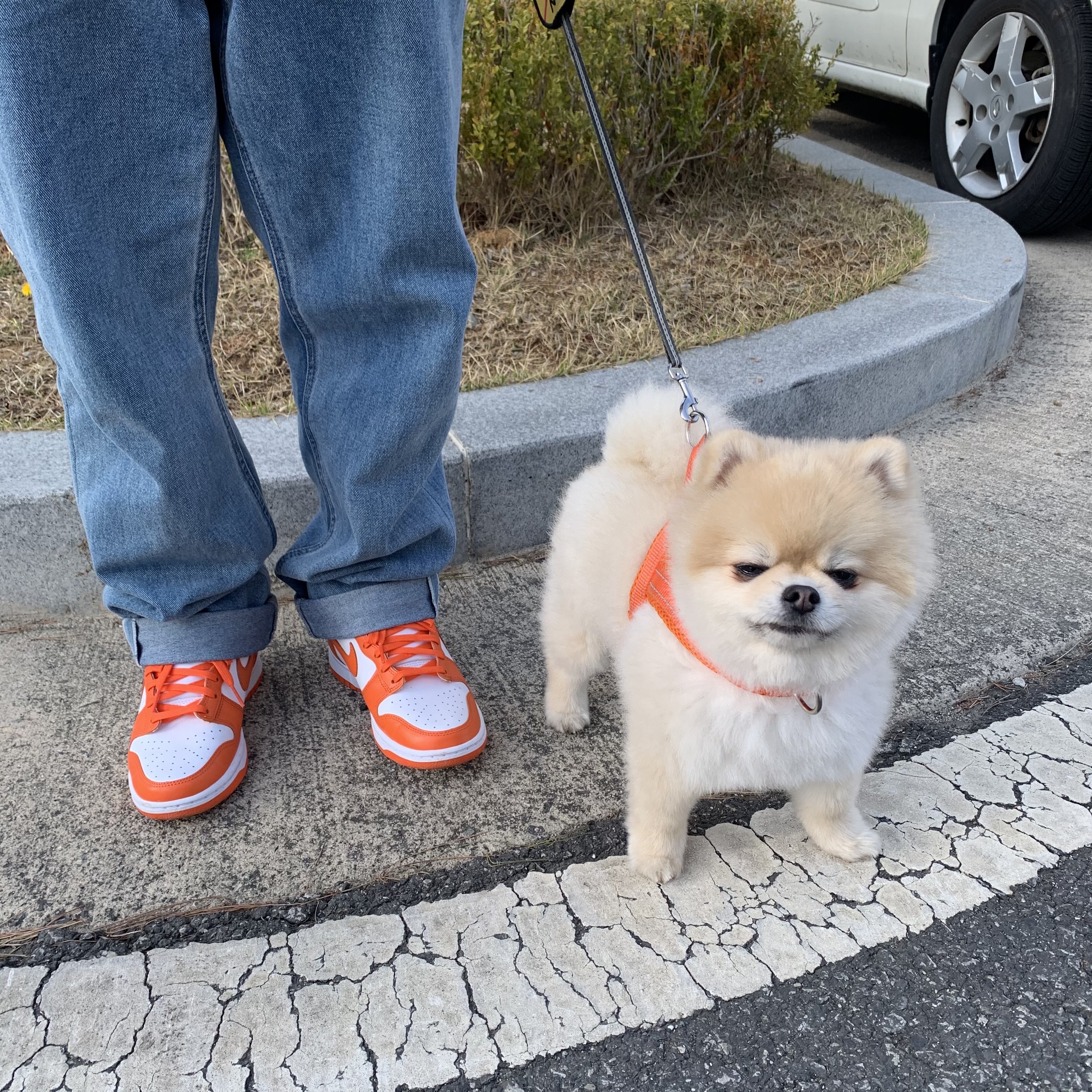 Nike Dunk High Retro Orange Blaze 착용 스타일