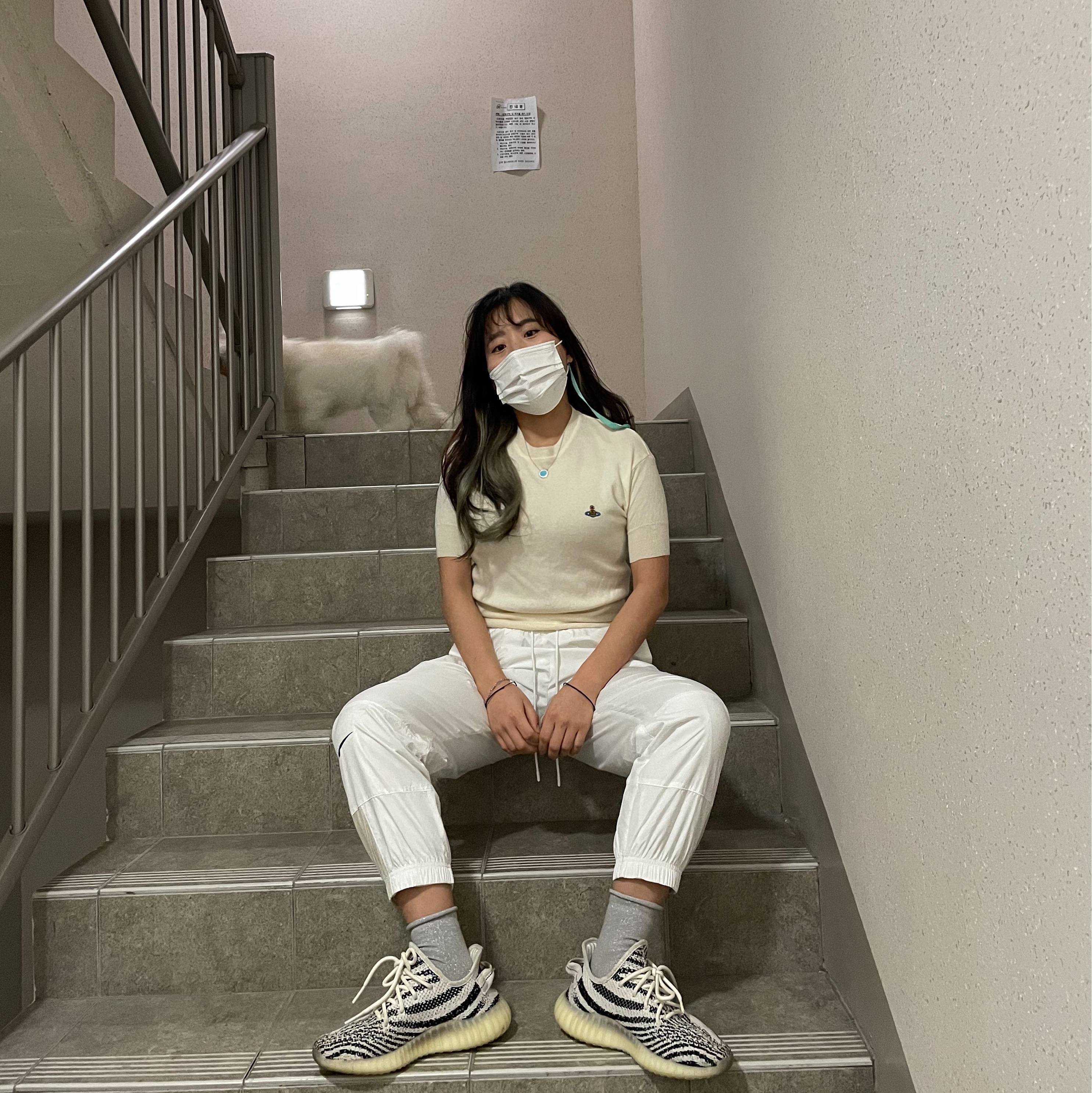 Adidas Yeezy Boost 350 V2 Zebra 2017/2019/2020 착용 스타일 - 1