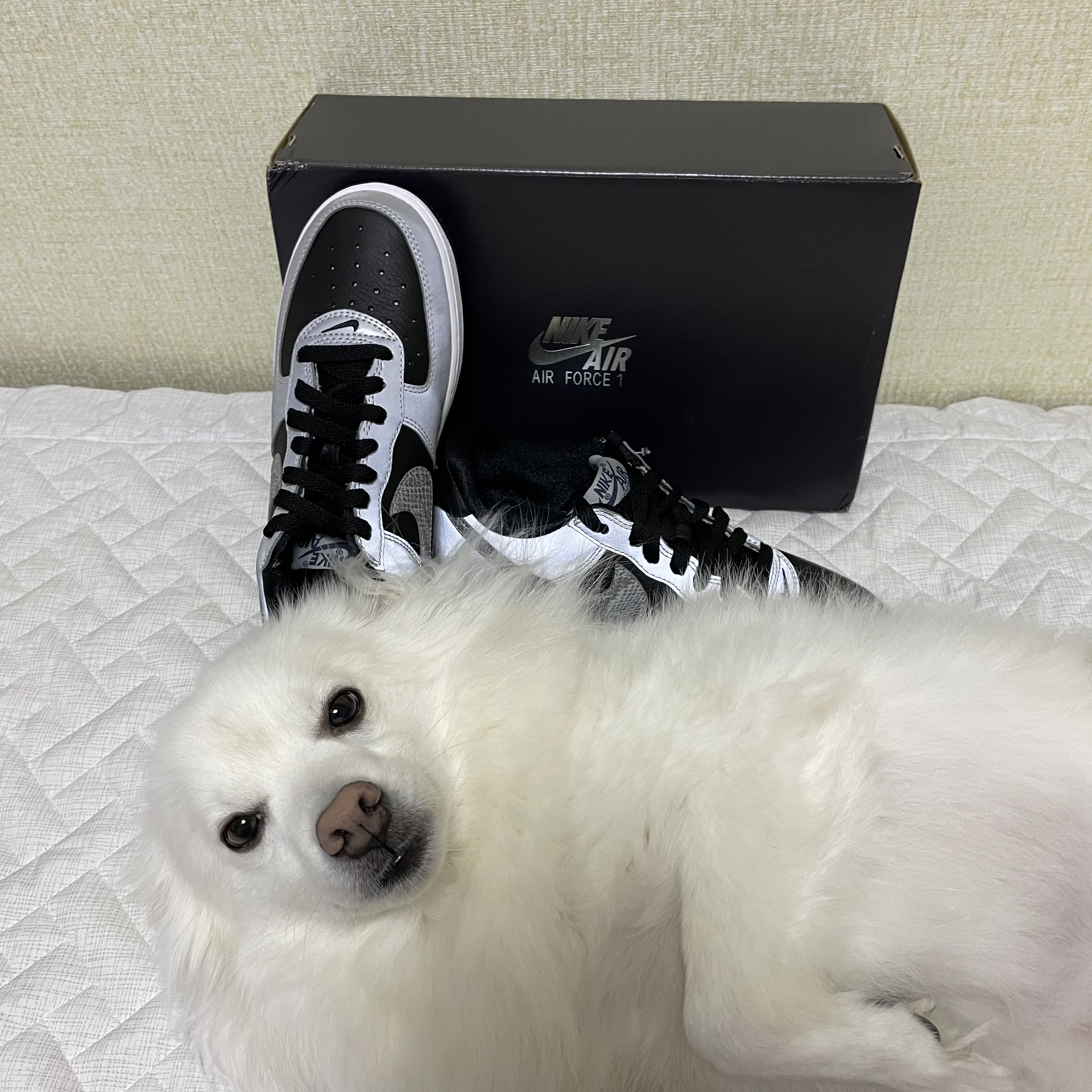 Nike Air Force 1 B Silver Snake 착용 스타일 - 3