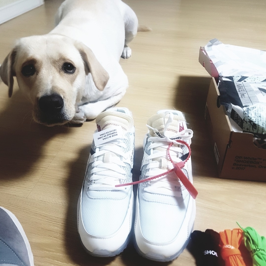 Nike x Off-White Air Max 90 The Ten 착용 스타일