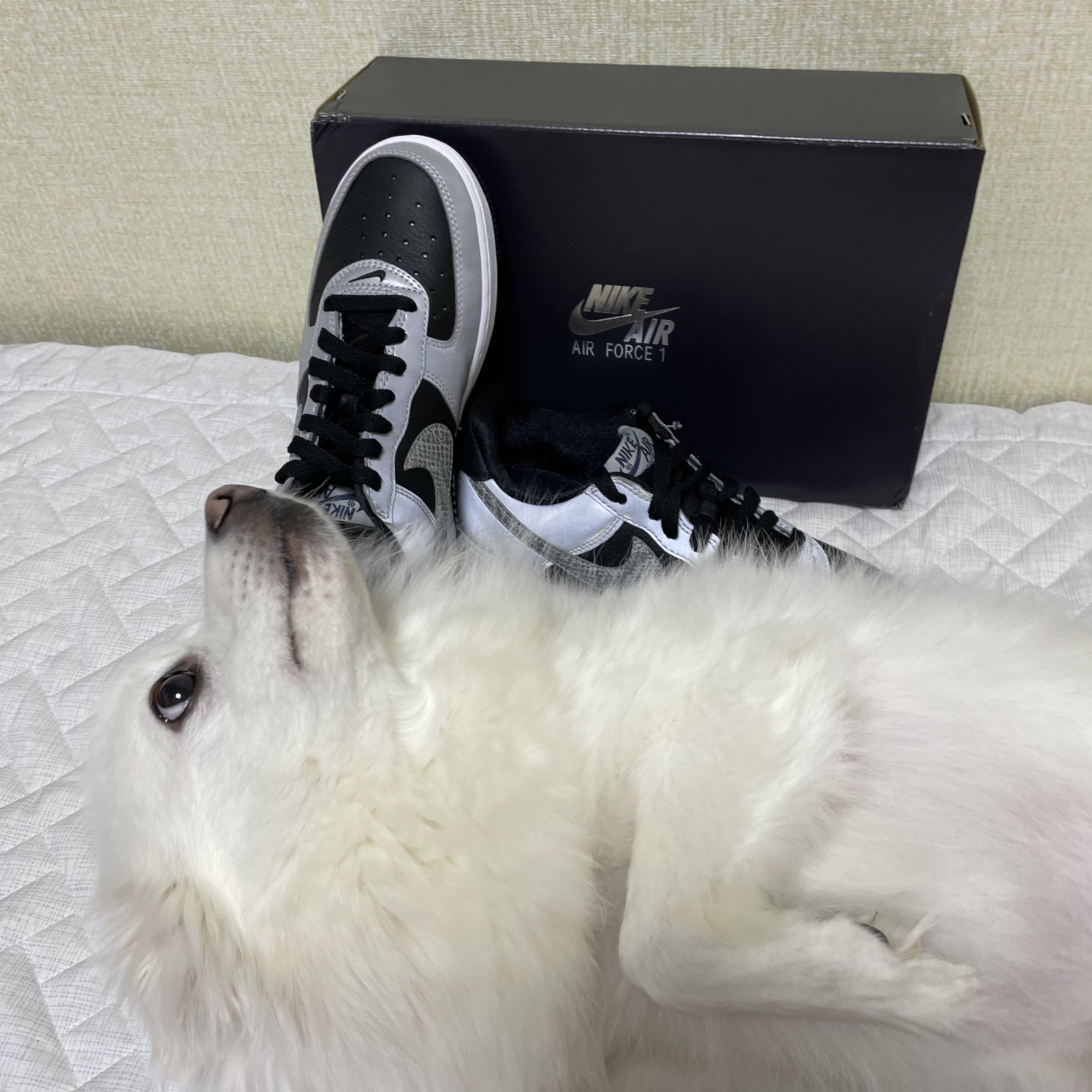 Nike Air Force 1 B Silver Snake 착용 스타일 - 2
