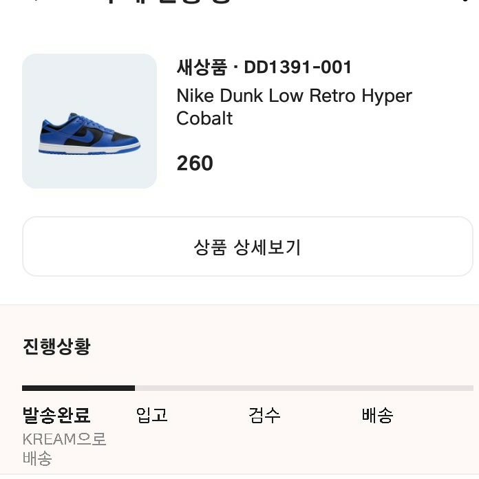 Nike Dunk Low Retro Hyper Cobalt 착용 스타일