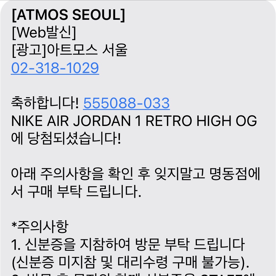 Jordan 1 Retro High OG Rust Shadow 착용 스타일