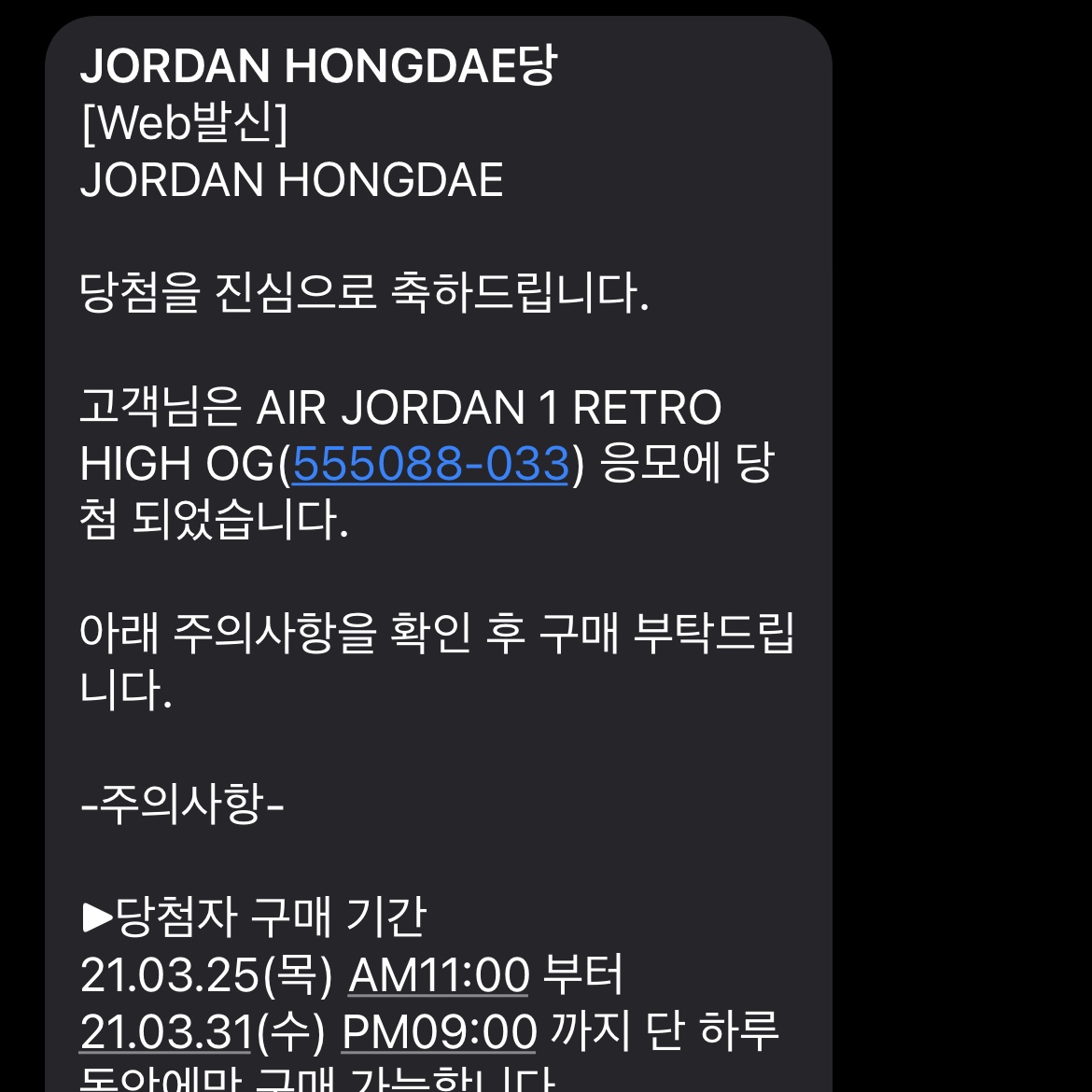 Jordan 1 Retro High OG Rust Shadow 착용 스타일